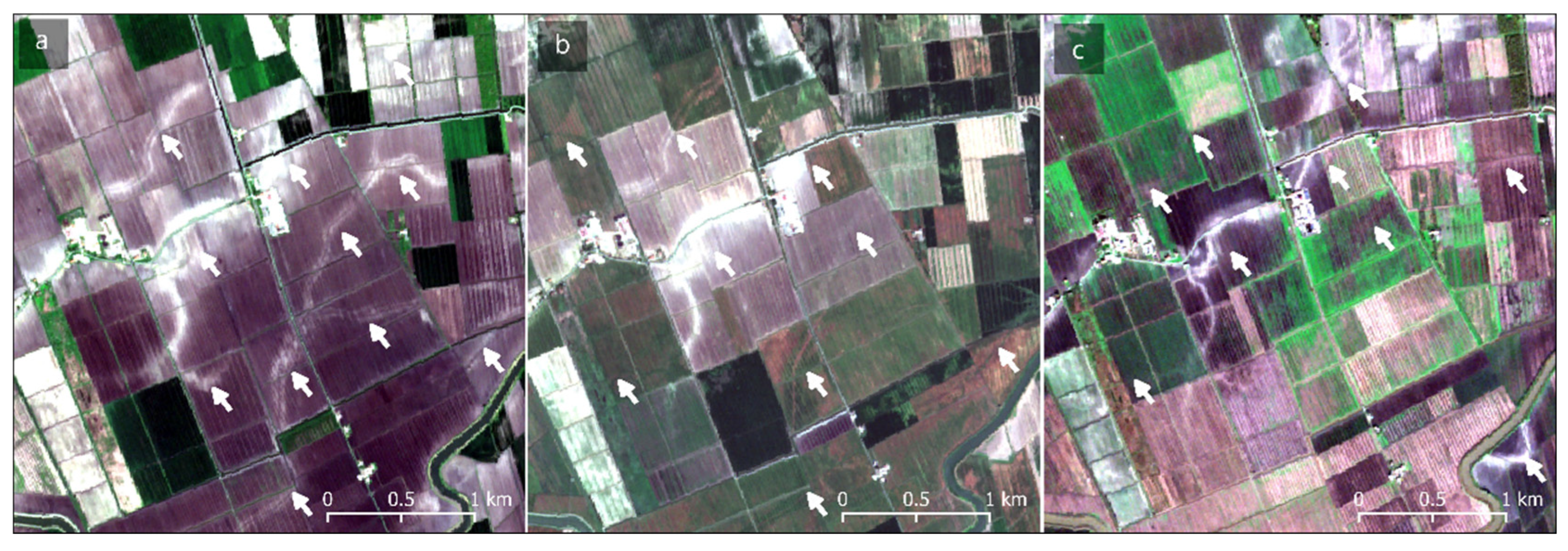 Remotesensing 17 04014 g003 Remotesensing 17 04014 g003