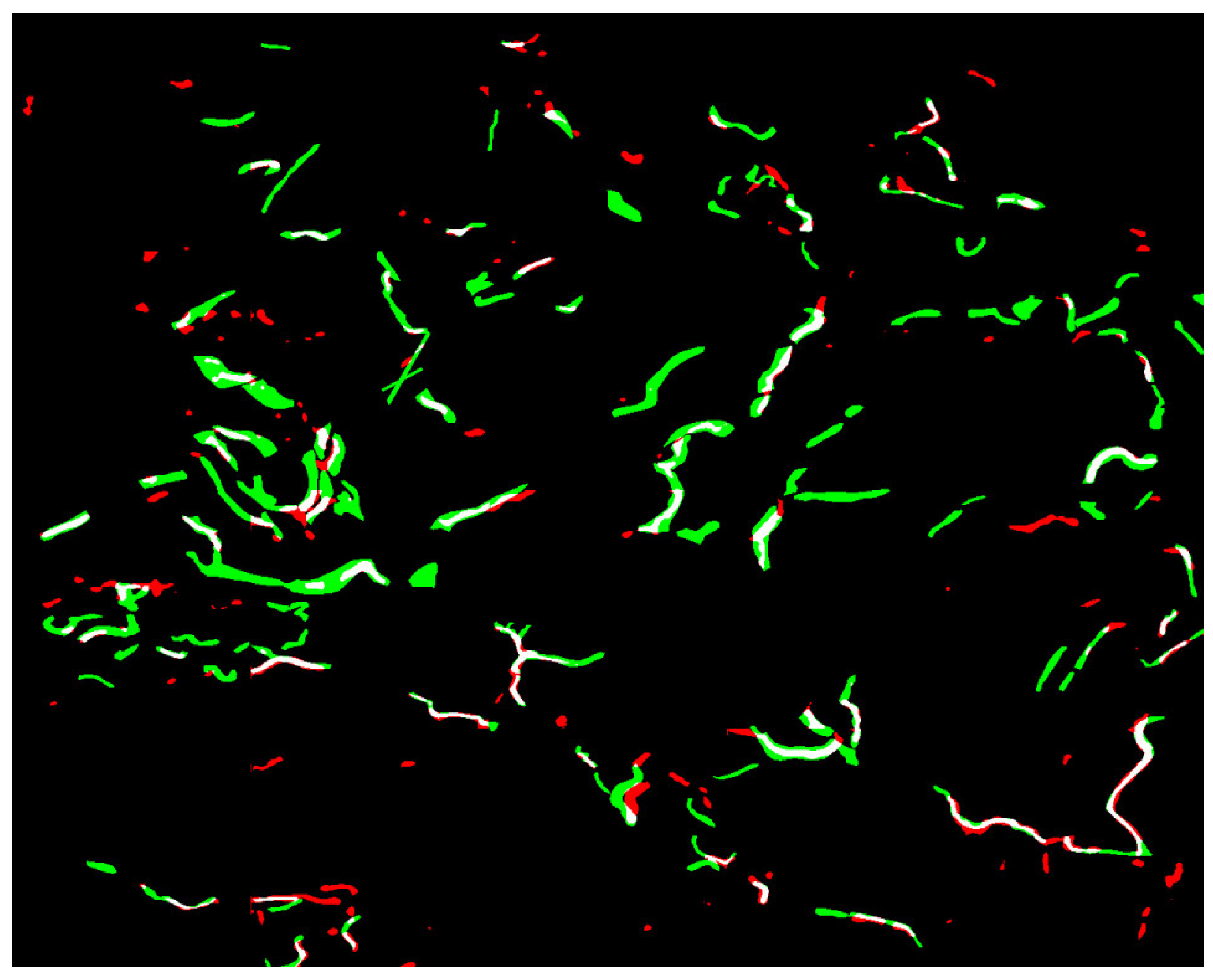 Remotesensing 17 04014 g011 Remotesensing 17 04014 g011