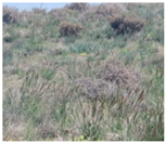 Remotesensing 17 04025 i004 Remotesensing 17 04025 i004