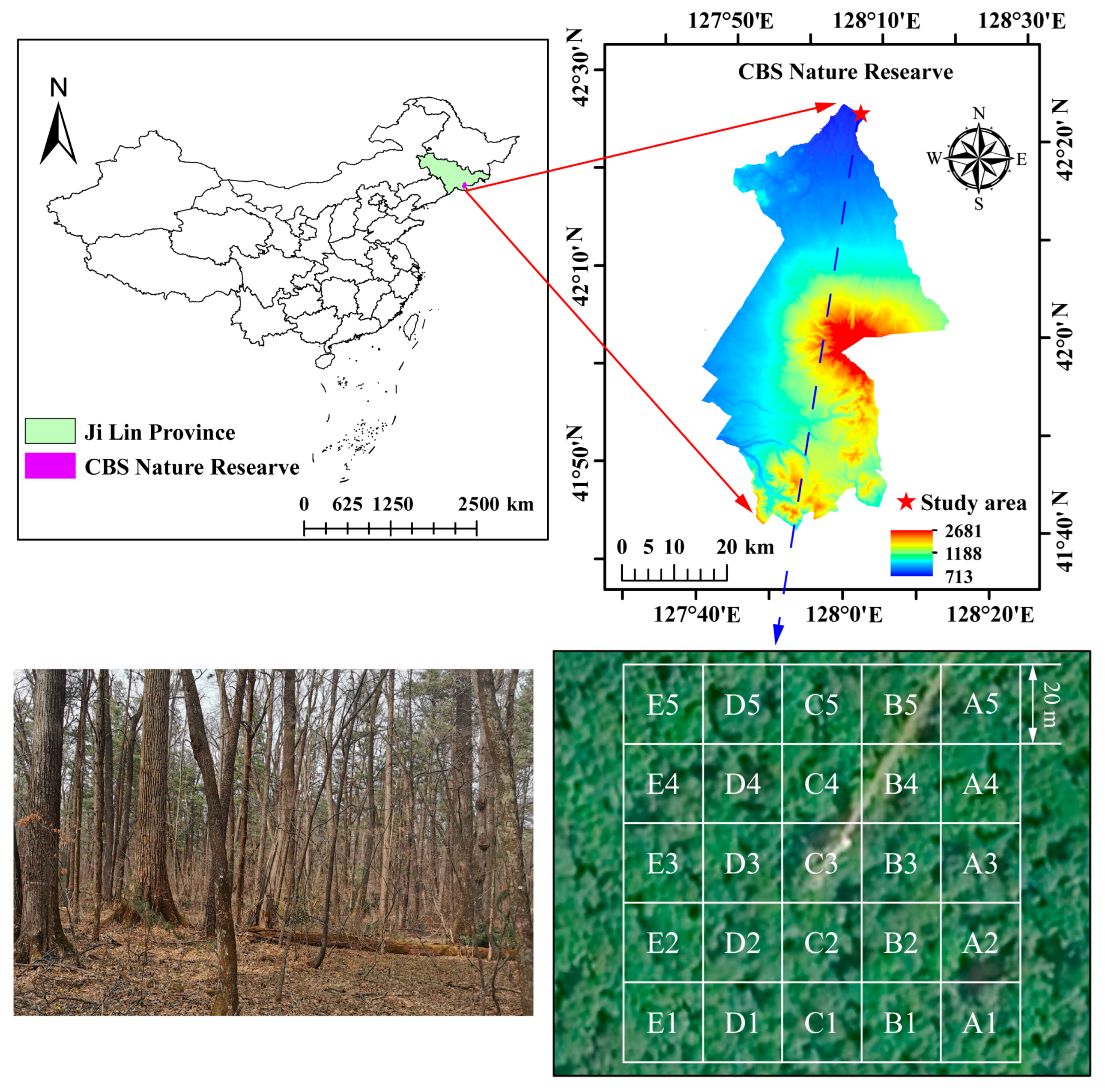 Remotesensing 17 04049 g001 Remotesensing 17 04049 g001