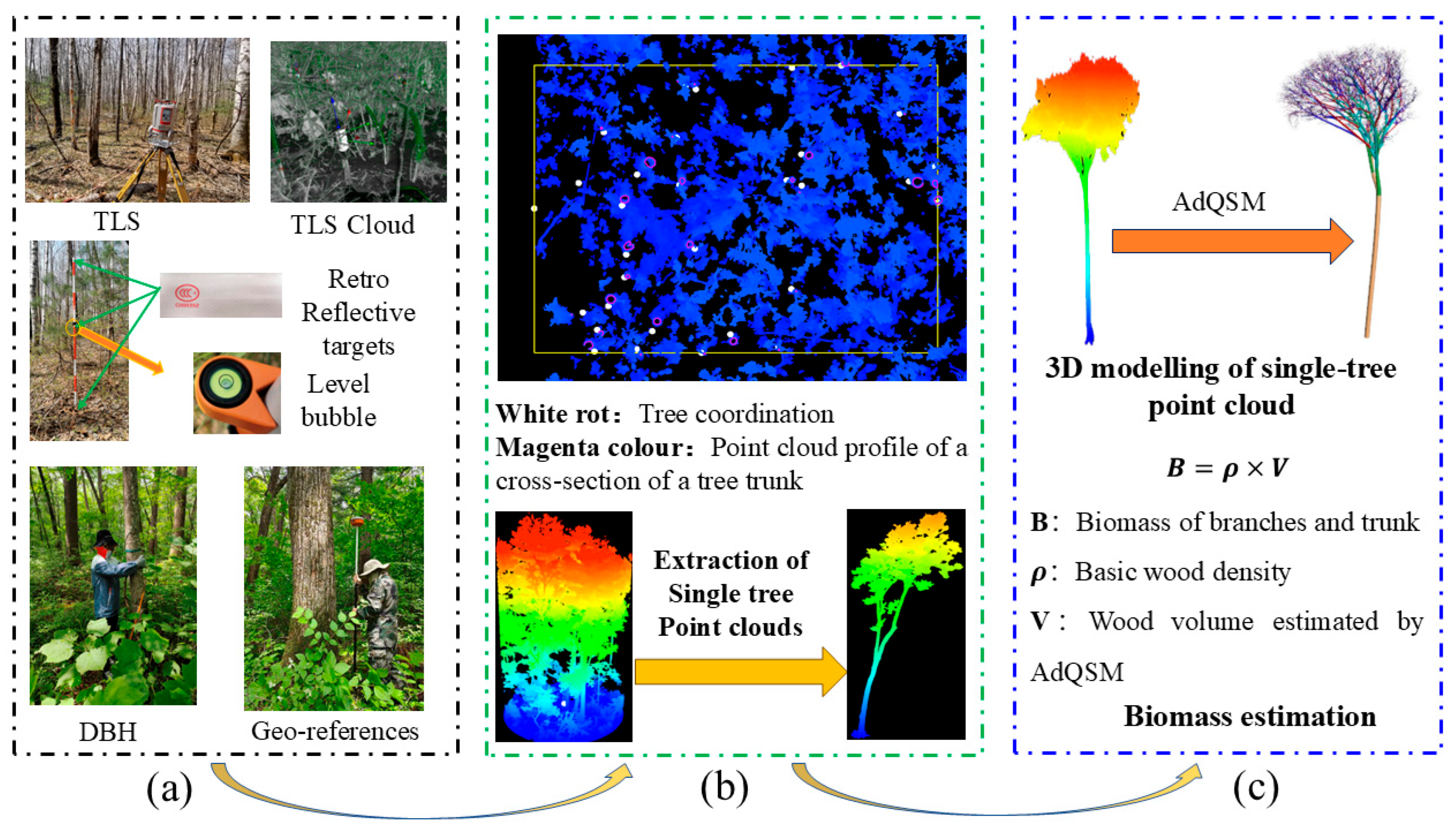 Remotesensing 17 04049 g003 Remotesensing 17 04049 g003
