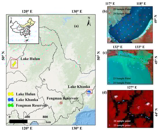 Overview of the study area. (a) Geographical location of three lakes in this study. (b) Distribution of sampling points in Lake Hulun. (c) Distribution of sampling points in Lake Khanka. (d) Distribution of sampling points in Fengman Reservoir.