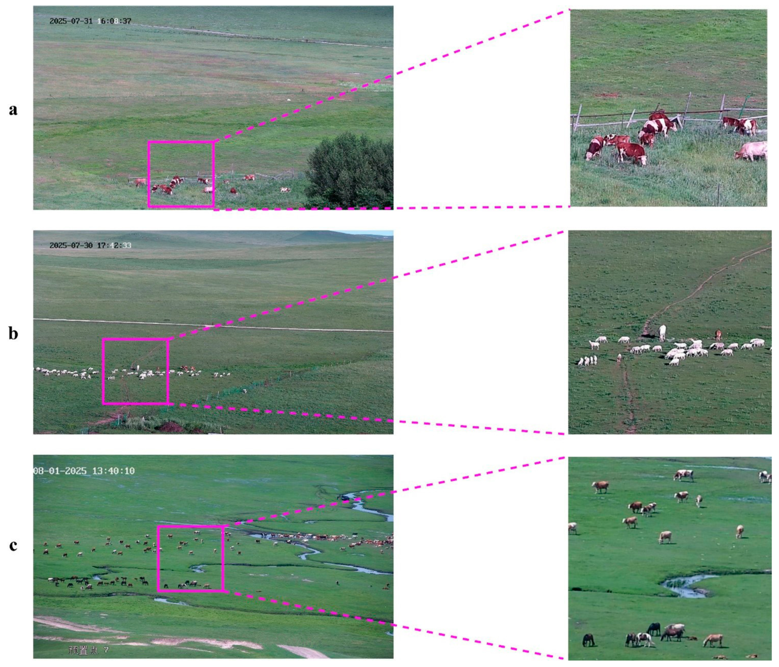 Remotesensing 18 00259 g002 Remotesensing 18 00259 g002
