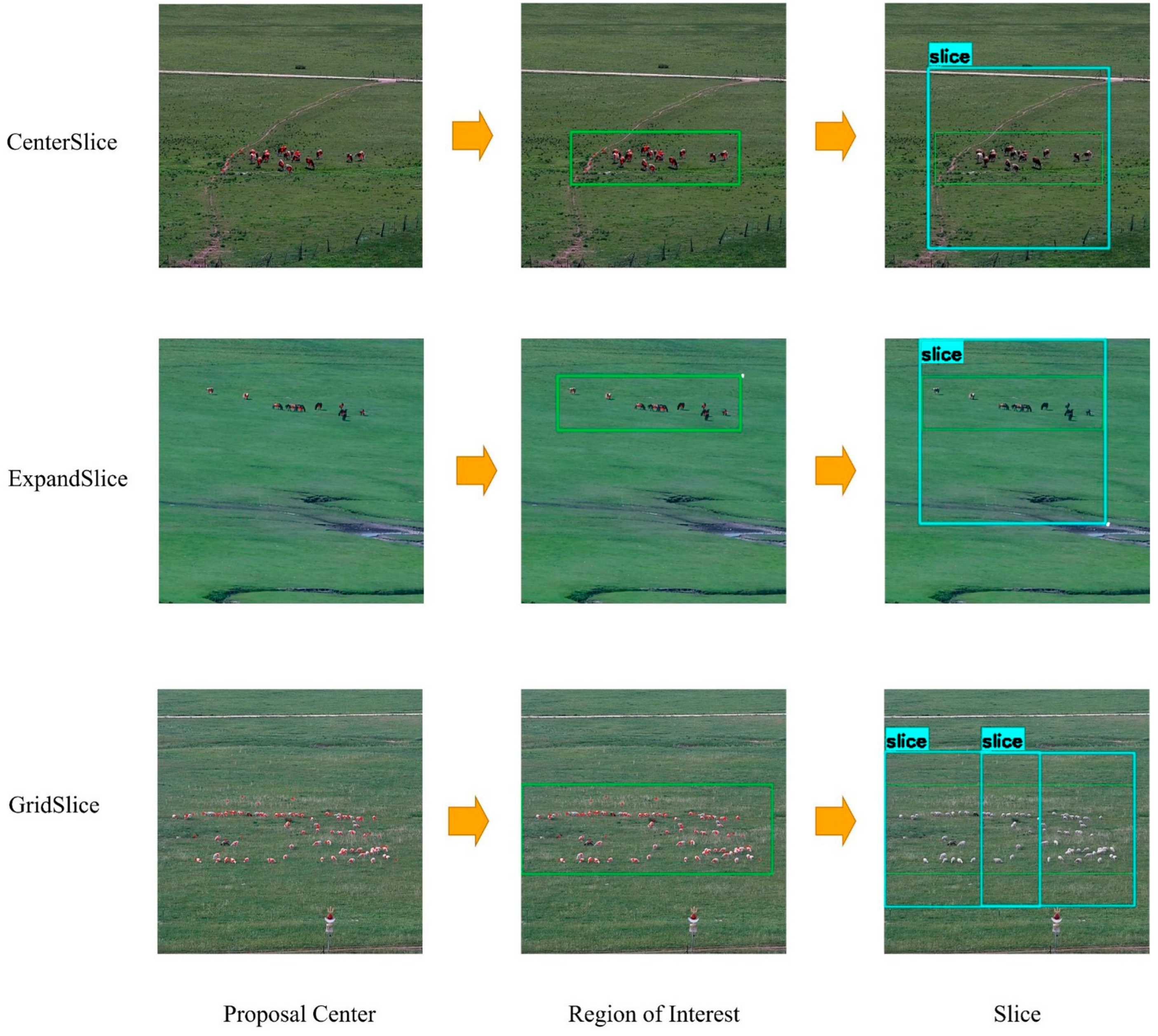 Remotesensing 18 00259 g007 Remotesensing 18 00259 g007