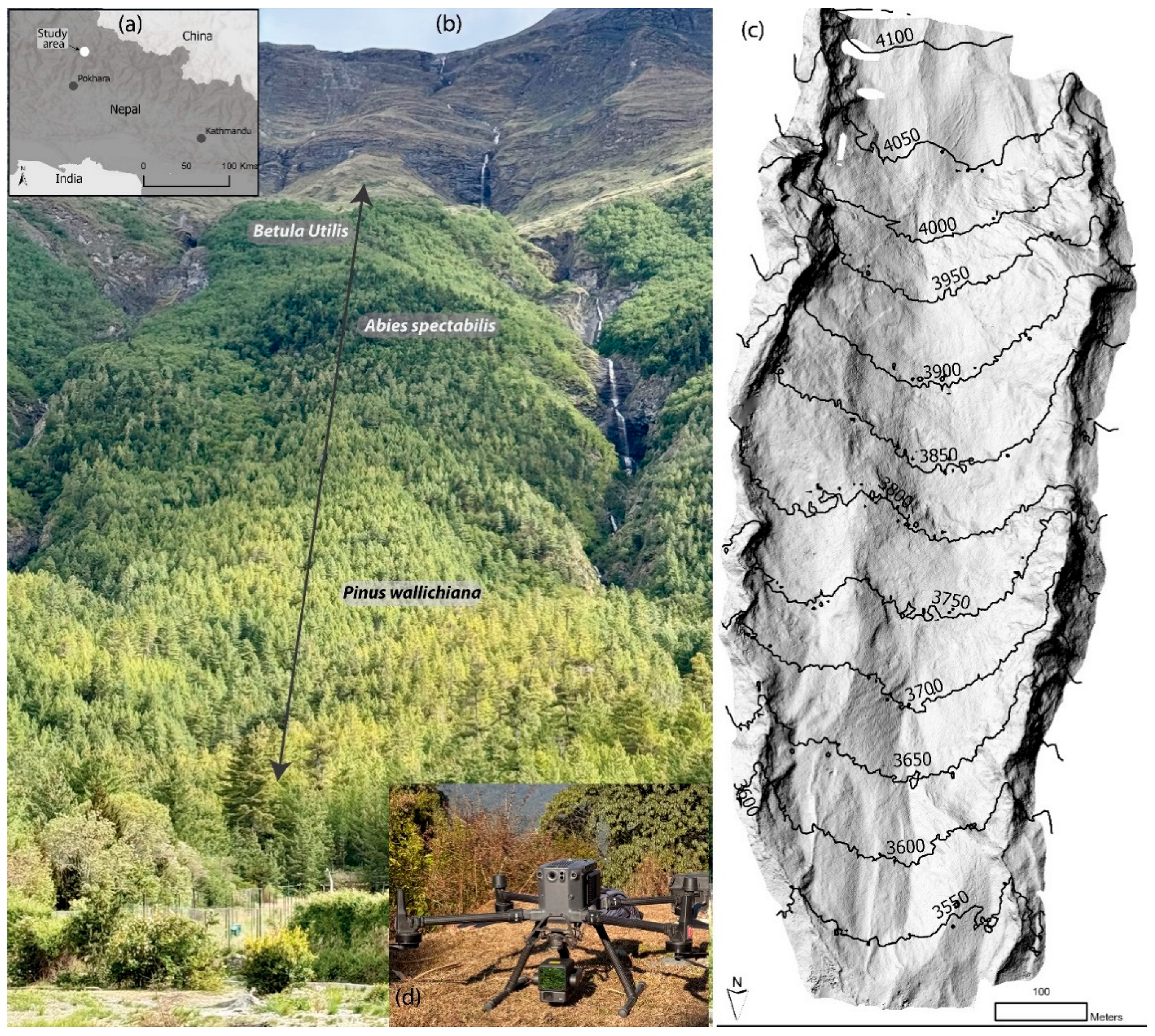 Remotesensing 18 00309 g001 Remotesensing 18 00309 g001