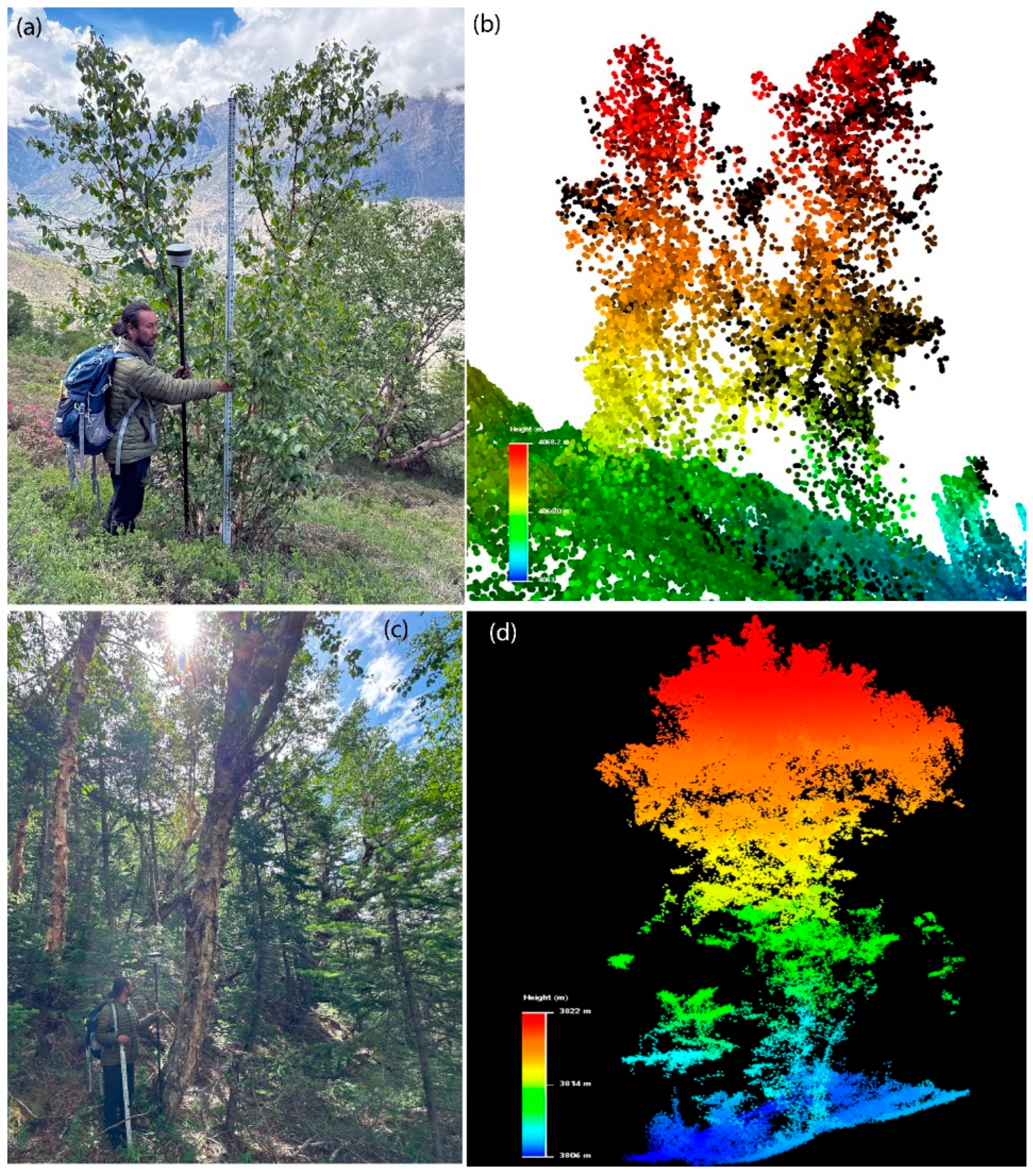 Remotesensing 18 00309 g003 Remotesensing 18 00309 g003