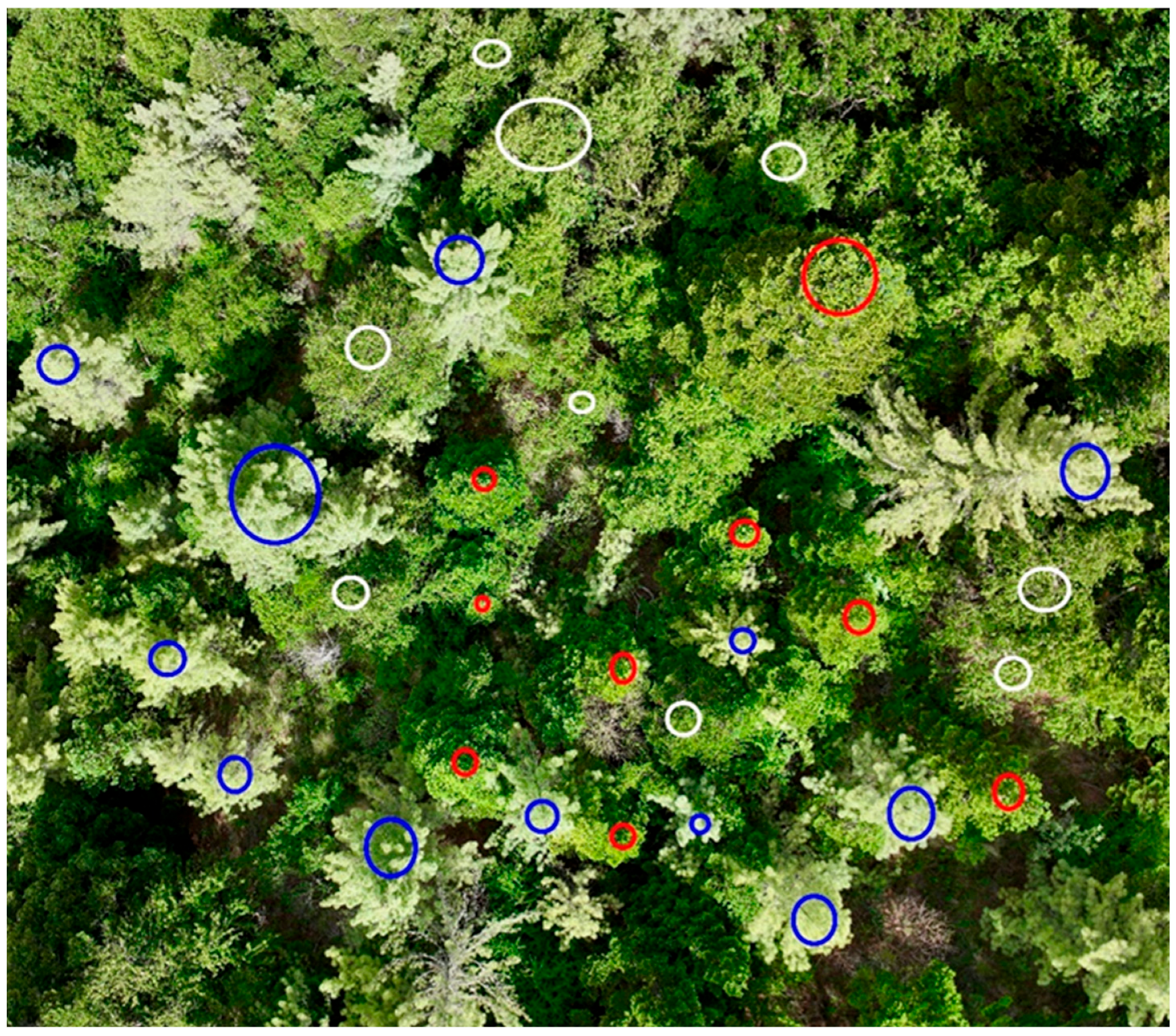 Remotesensing 18 00309 g004 Remotesensing 18 00309 g004