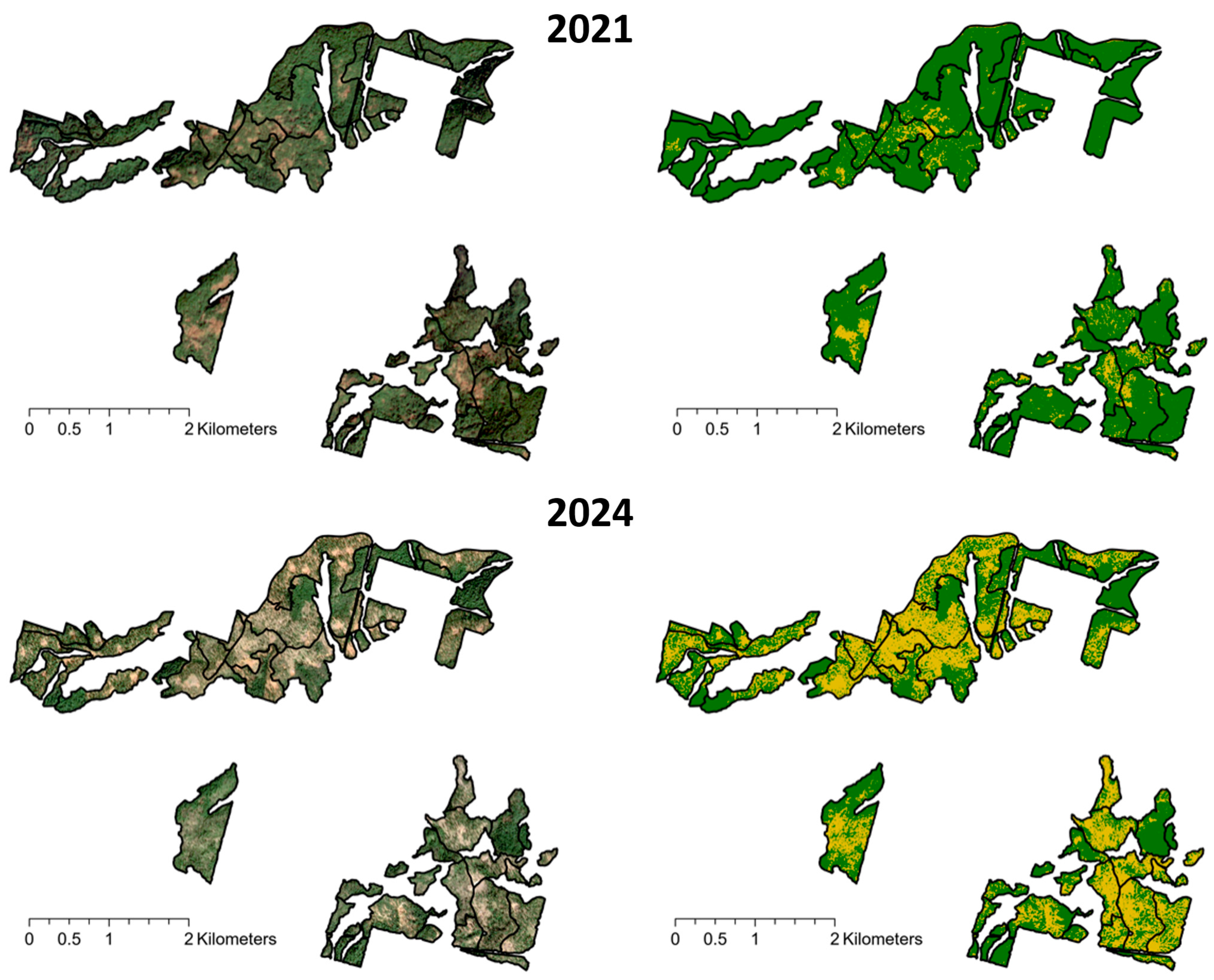 Remotesensing 18 00346 g003
