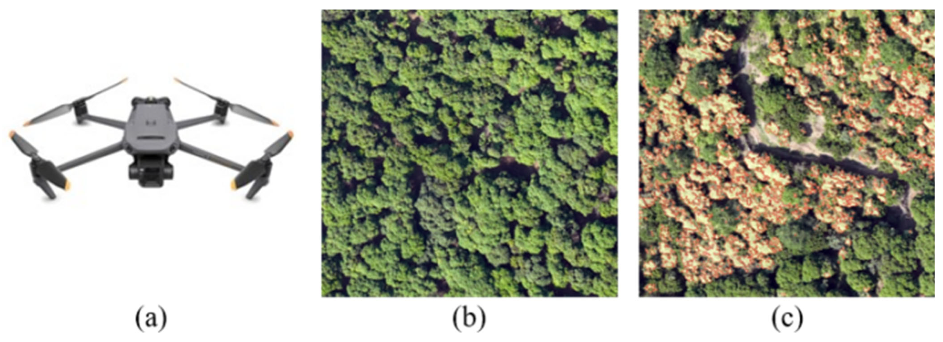 Remotesensing 18 00437 g003 Remotesensing 18 00437 g003