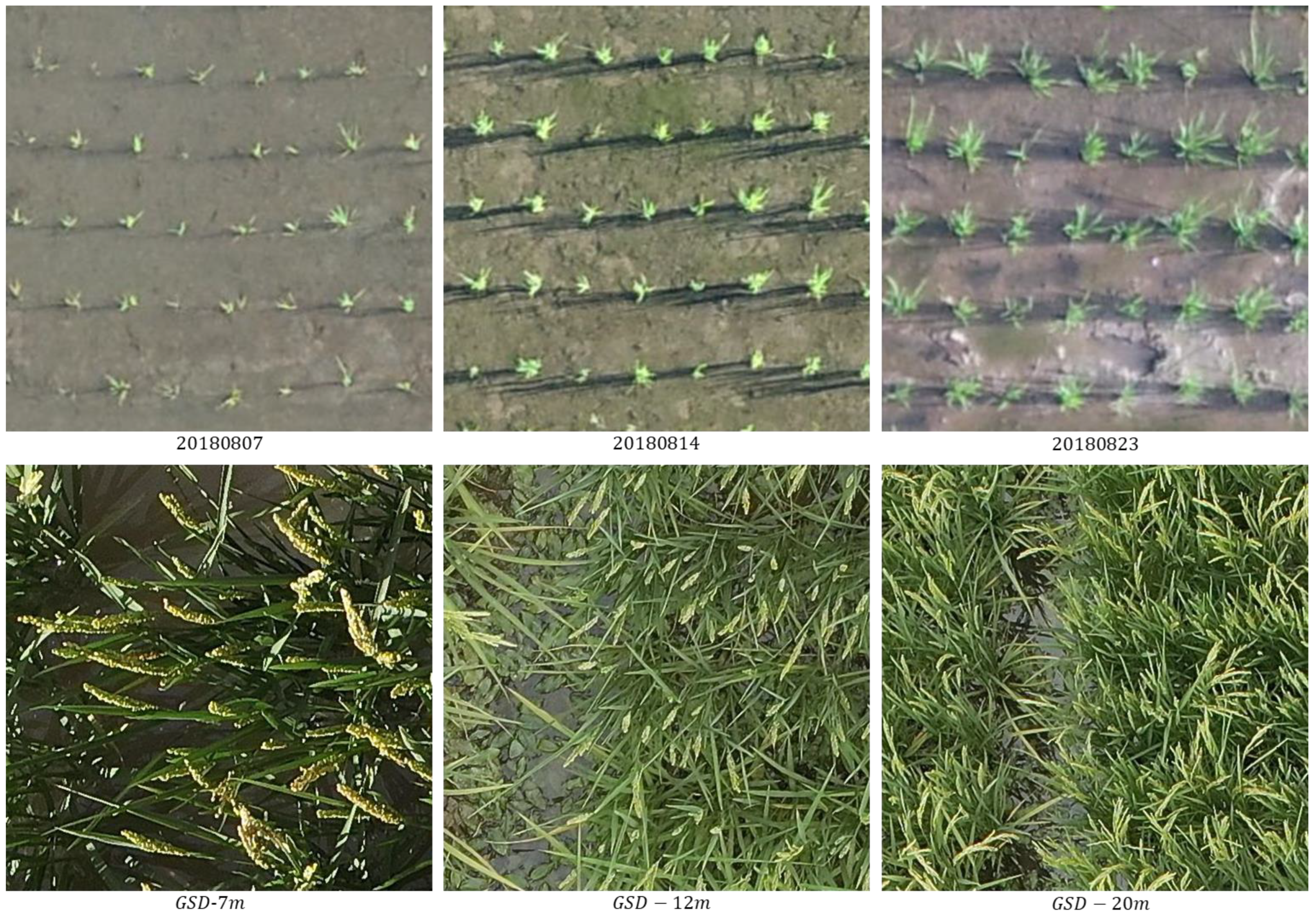 Remotesensing 18 00446 g001 Remotesensing 18 00446 g001