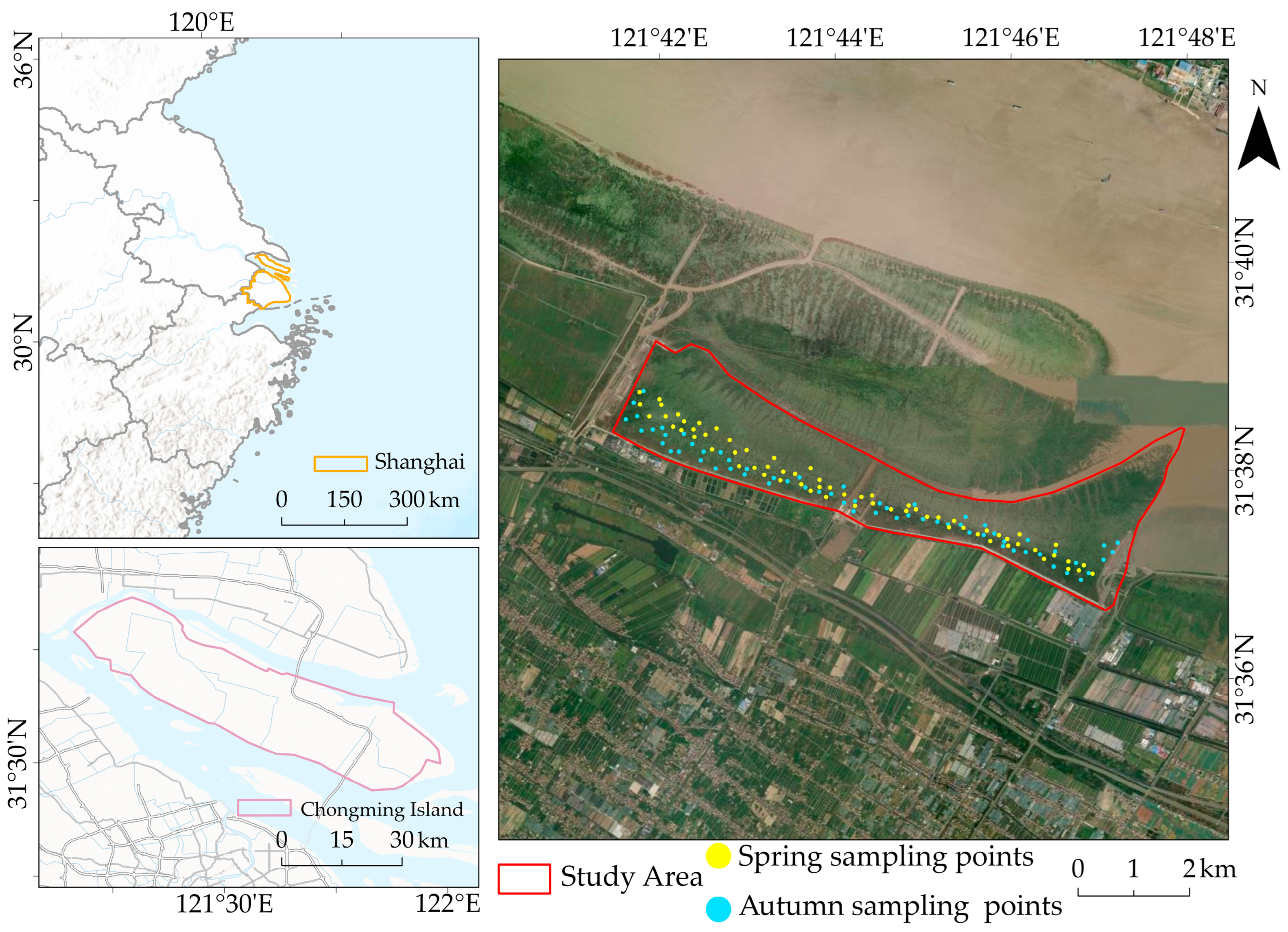 Remotesensing 18 00454 g001 Remotesensing 18 00454 g001