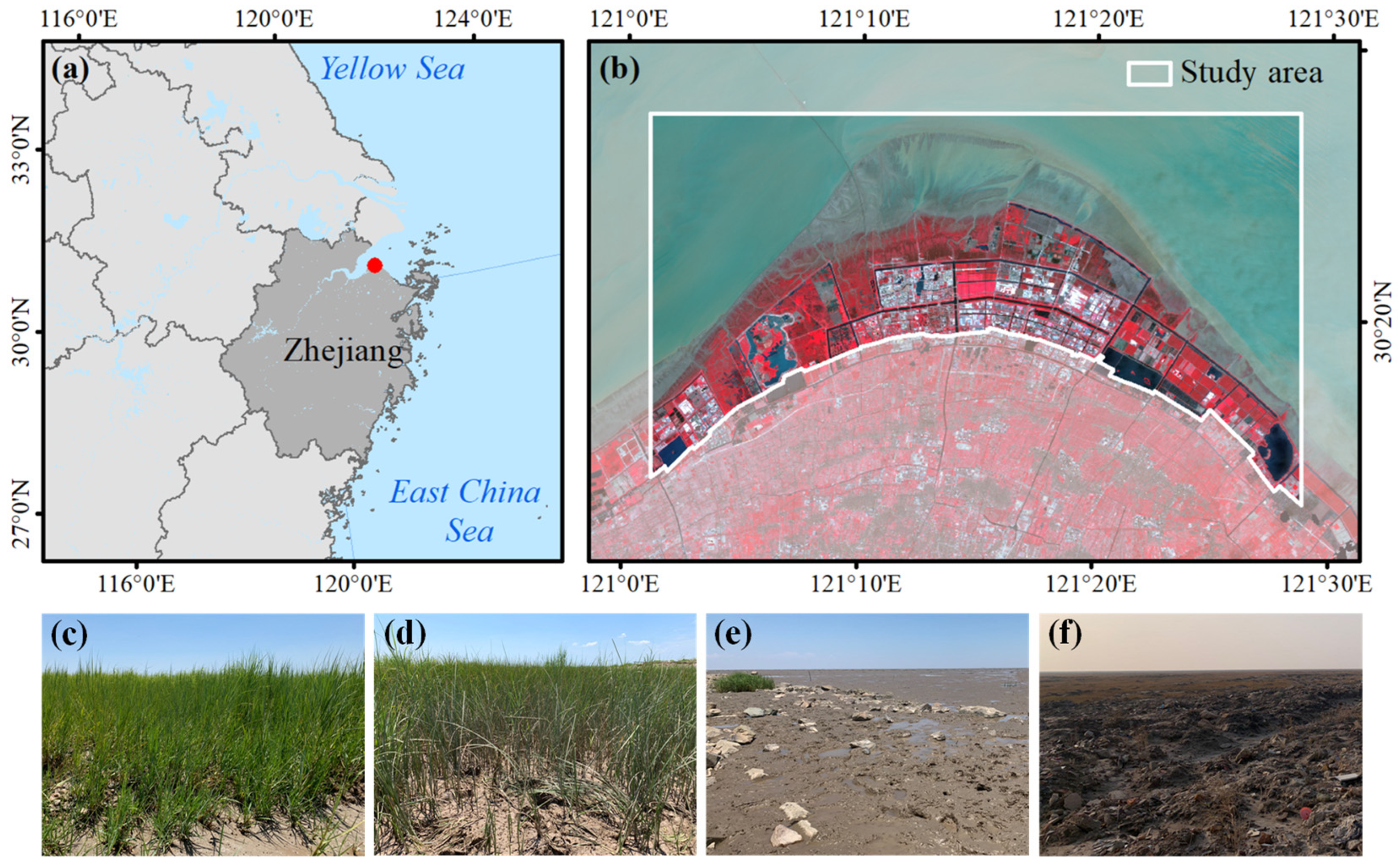 Remotesensing 18 00461 g001 Remotesensing 18 00461 g001