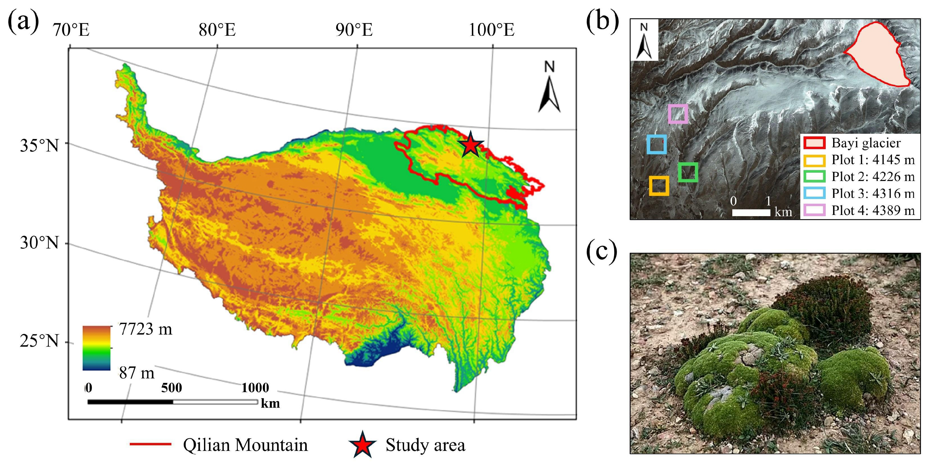 Remotesensing 18 00471 g004