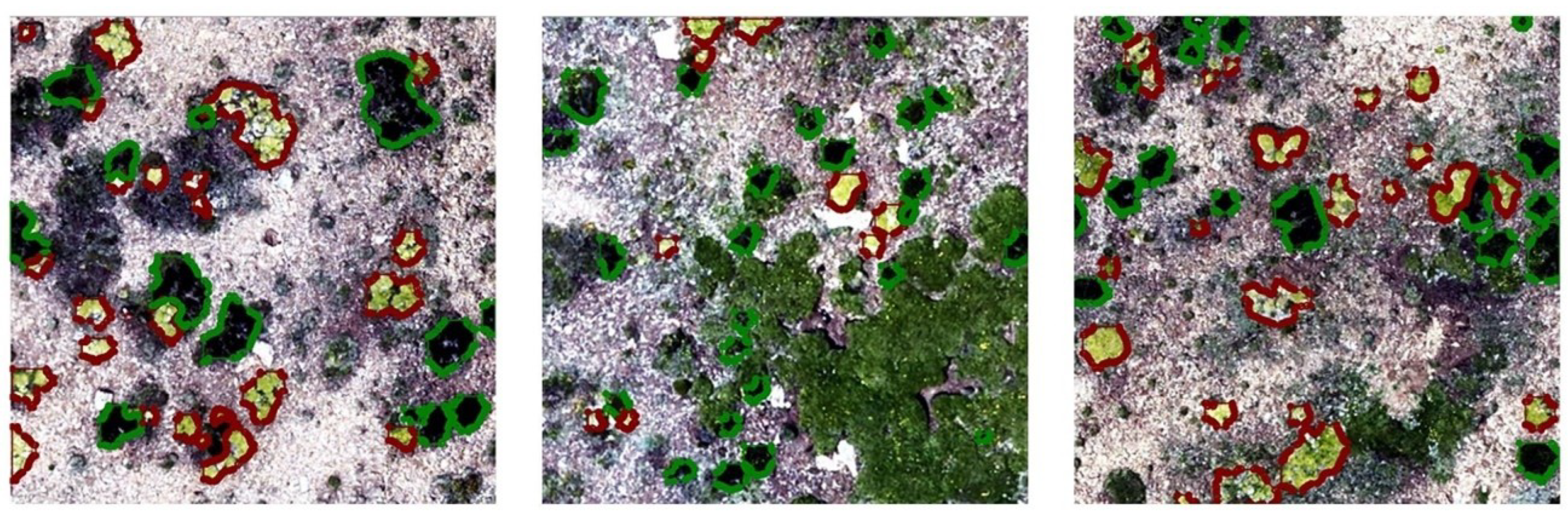 Remotesensing 18 00471 g007