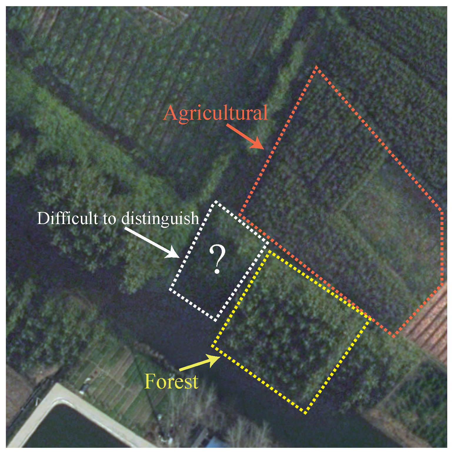 Remotesensing 18 00521 g001 Remotesensing 18 00521 g001