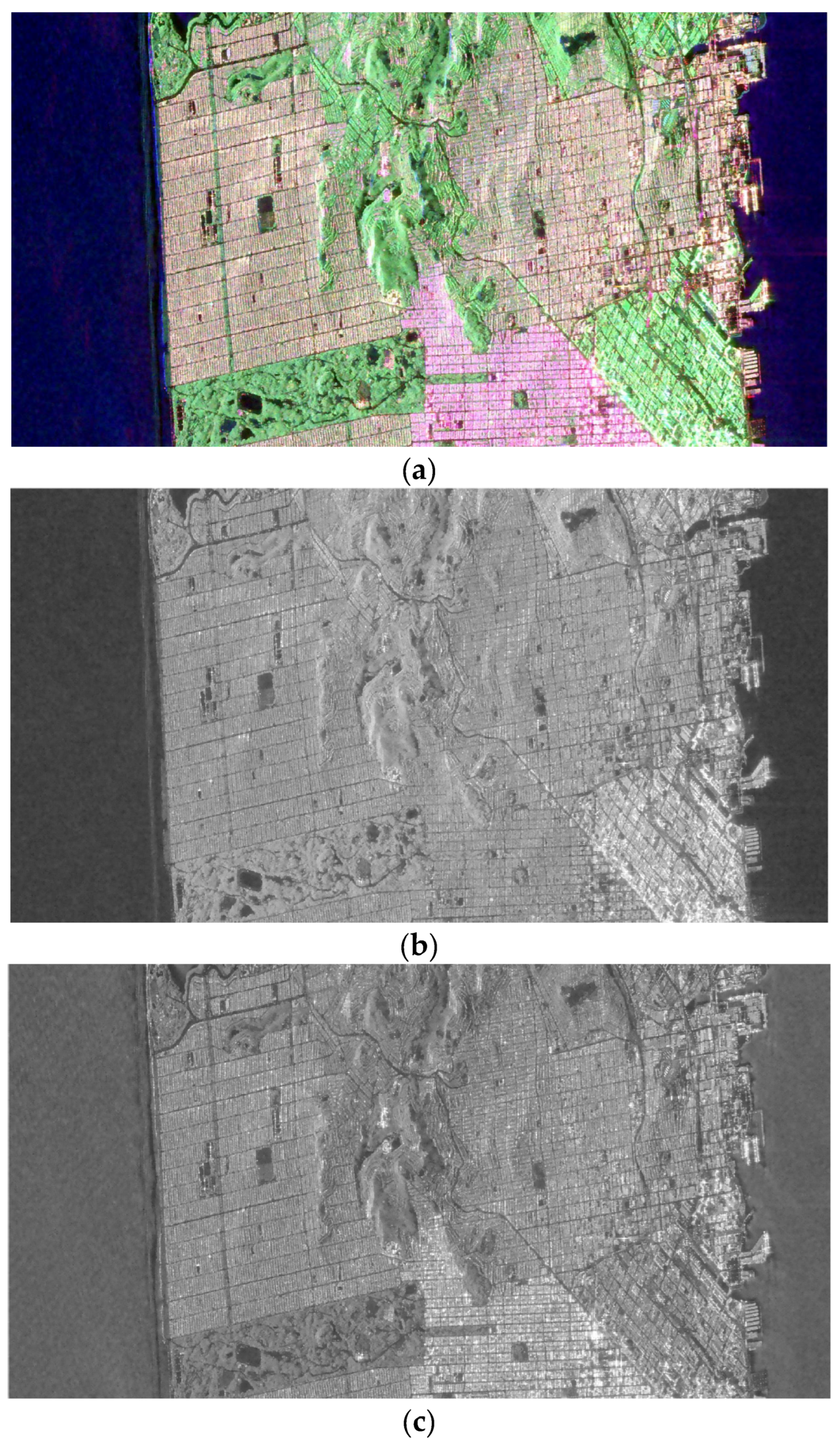 Remotesensing 18 00595 g002a