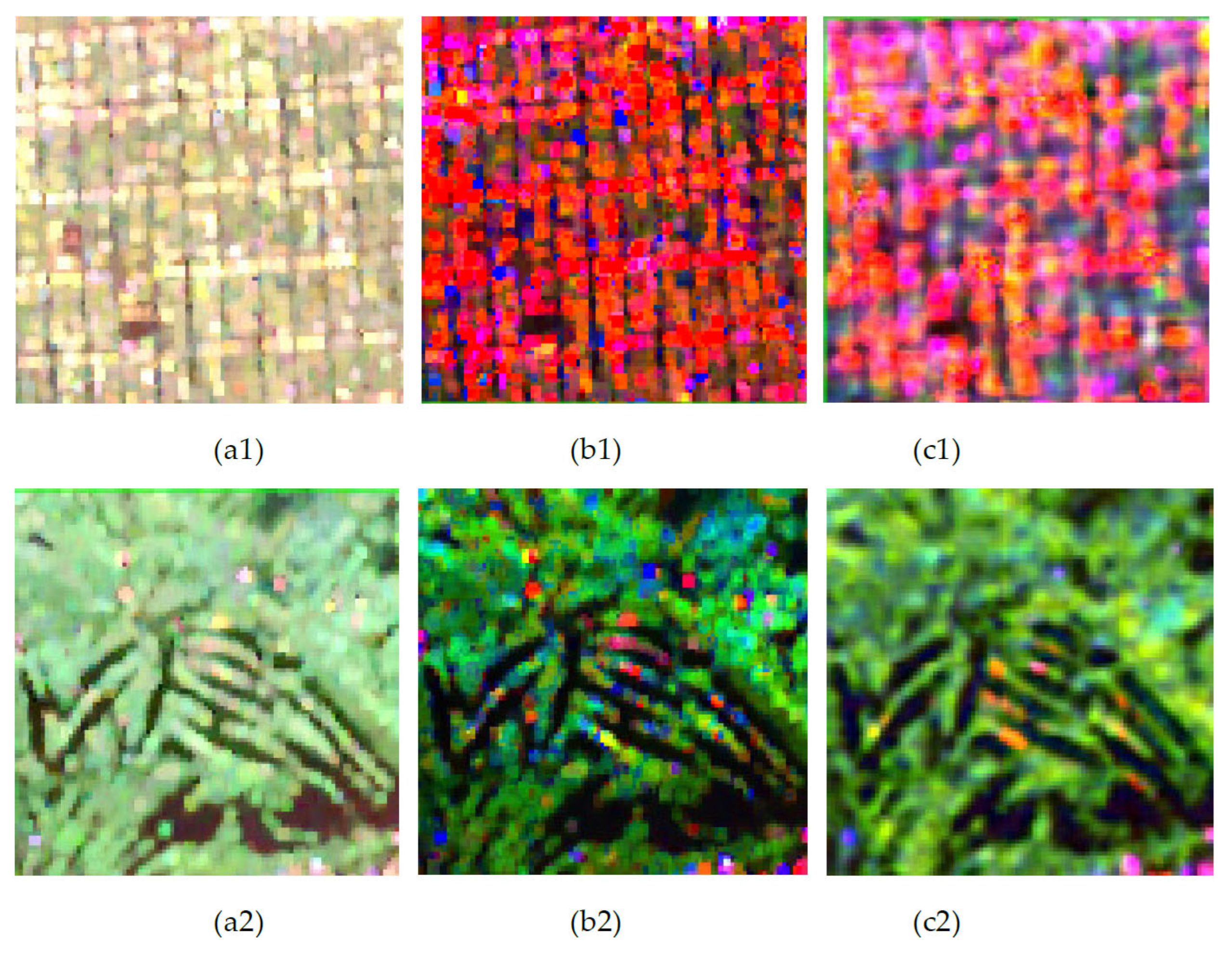Remotesensing 18 00595 g006