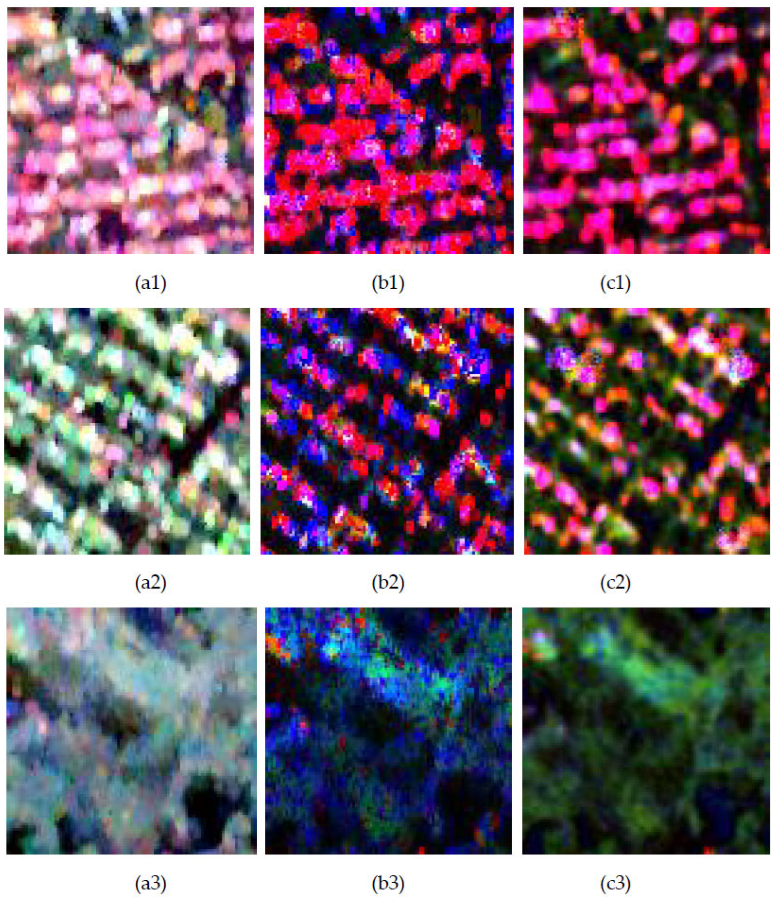 Remotesensing 18 00595 g008