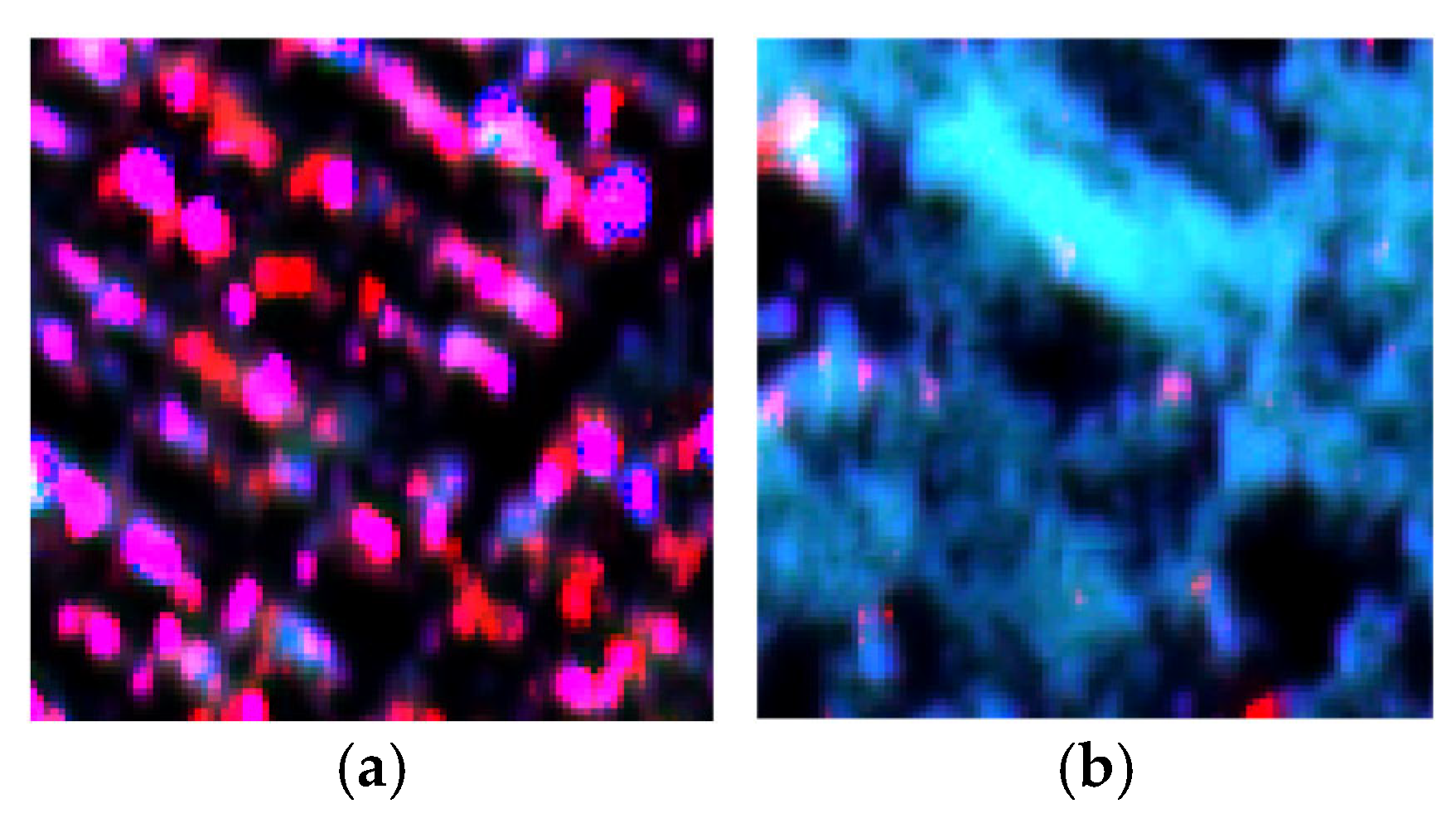 Remotesensing 18 00595 g011