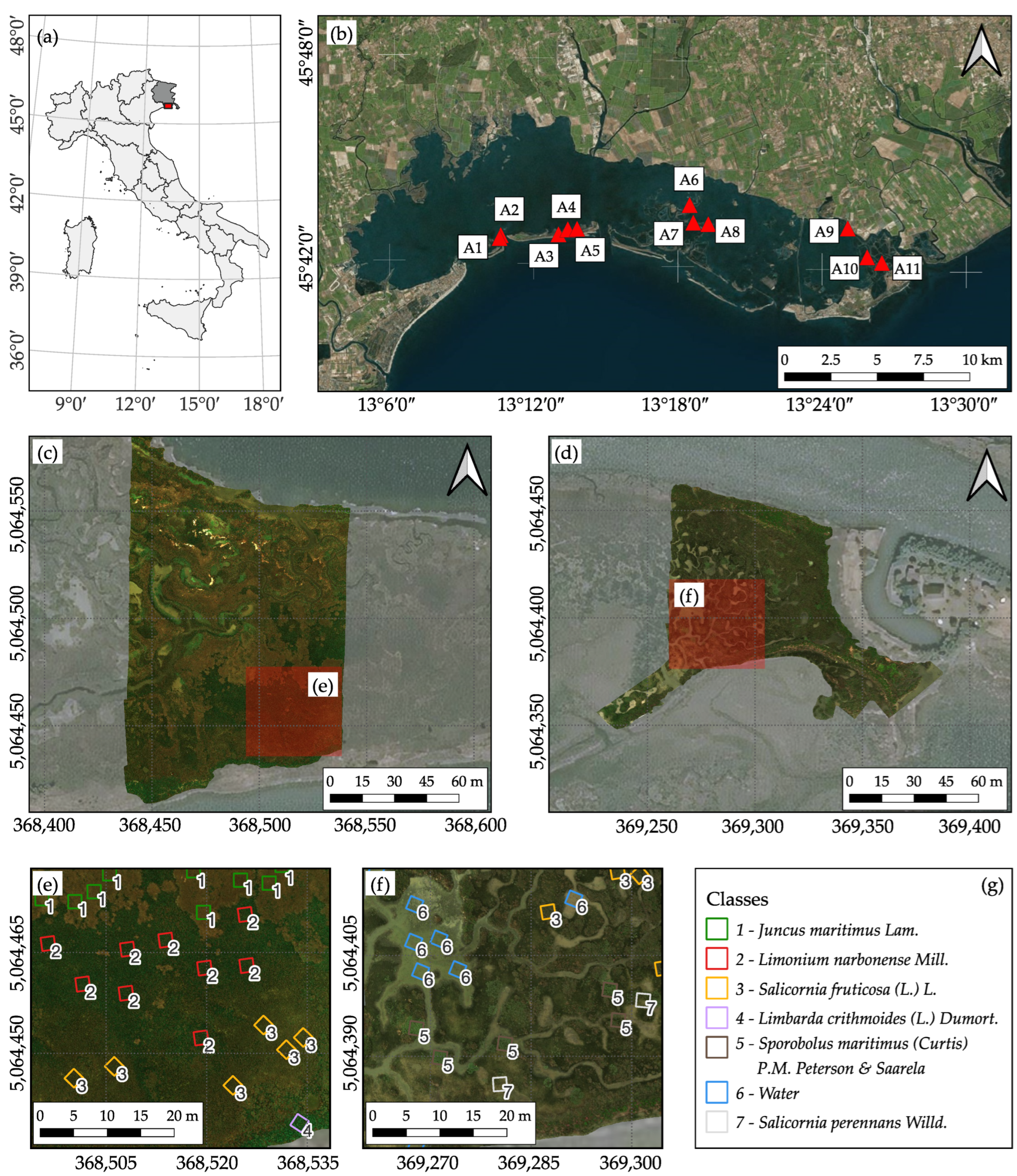 Remotesensing 18 00655 g001 Remotesensing 18 00655 g001