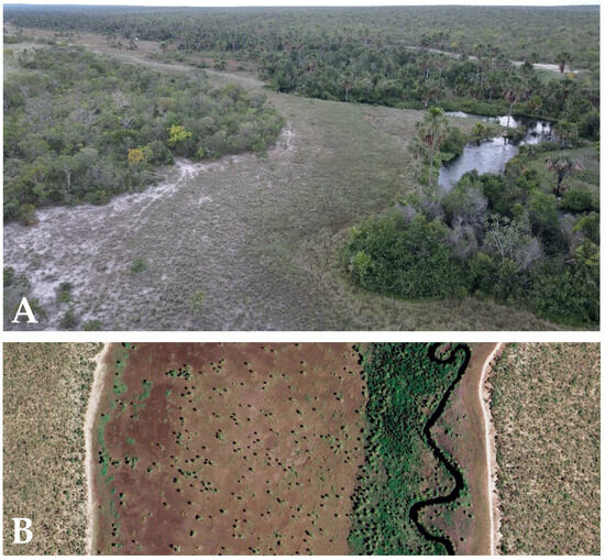 Remotesensing 18 00791 g0a1