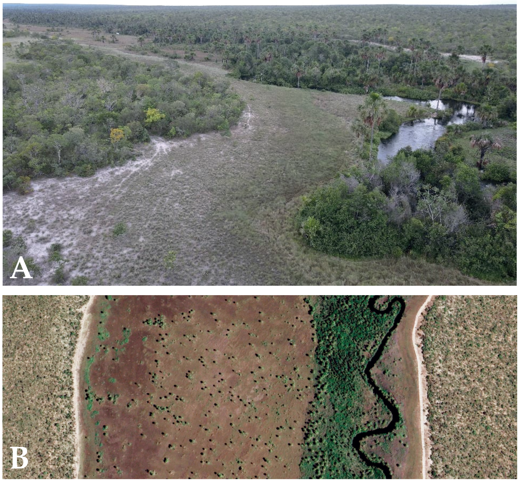 Remotesensing 18 00791 g0a1 Remotesensing 18 00791 g0a1