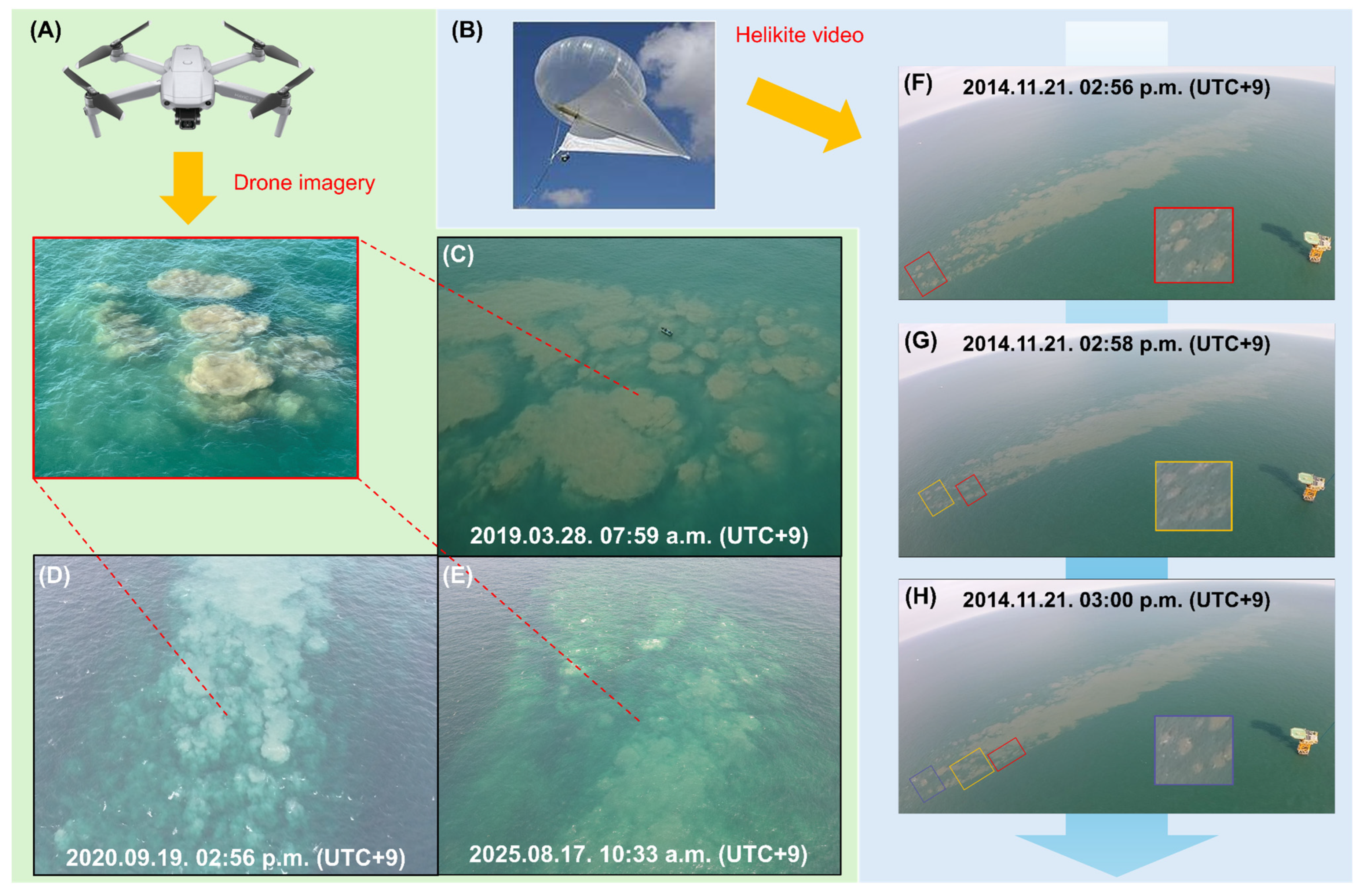 Remotesensing 18 00795 g005