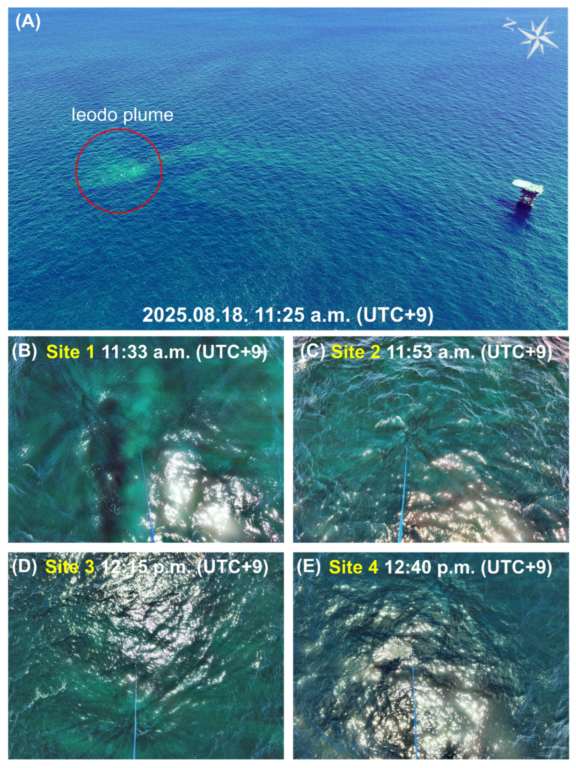 Remotesensing 18 00795 g007