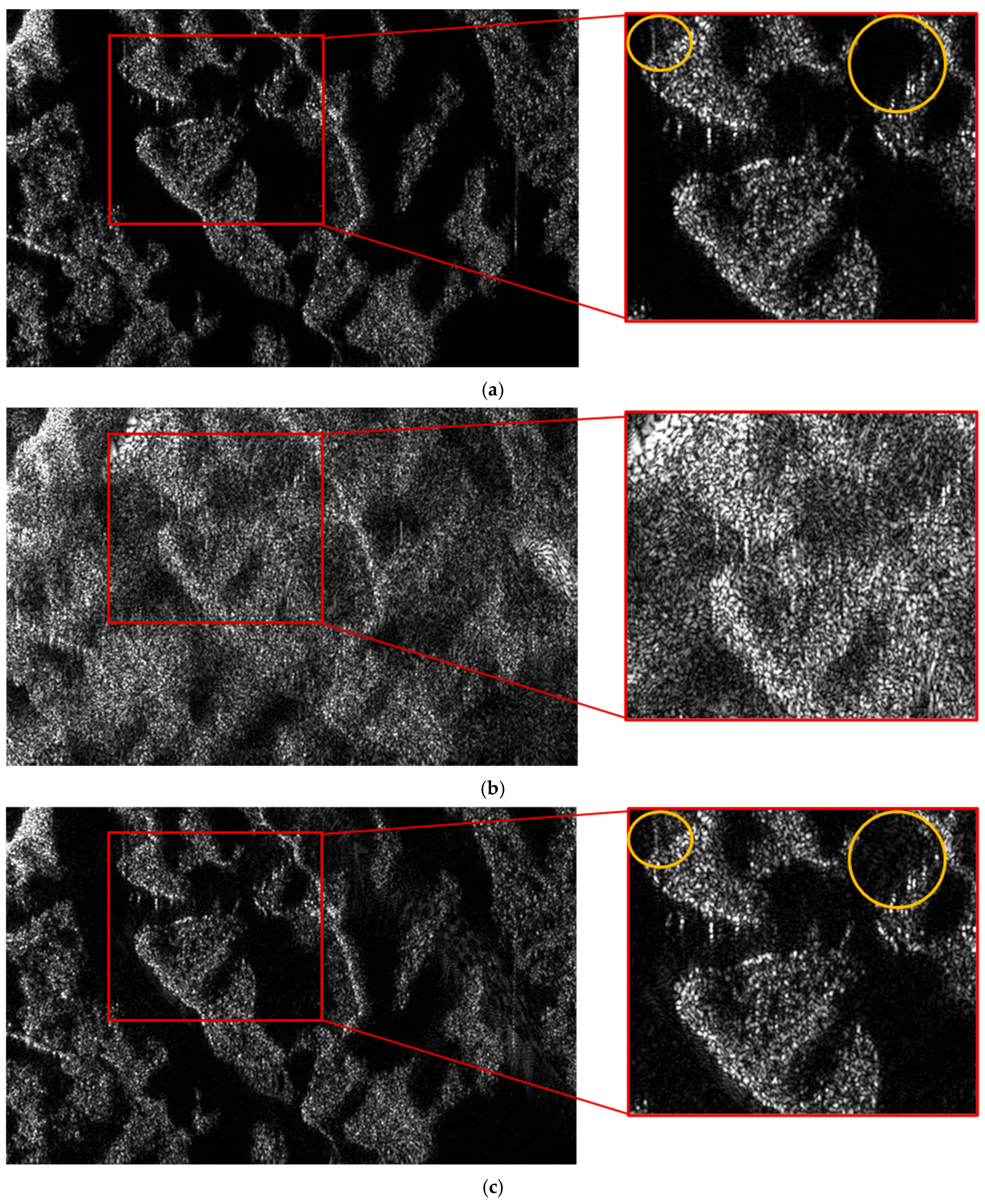 Remotesensing 18 00862 g010a