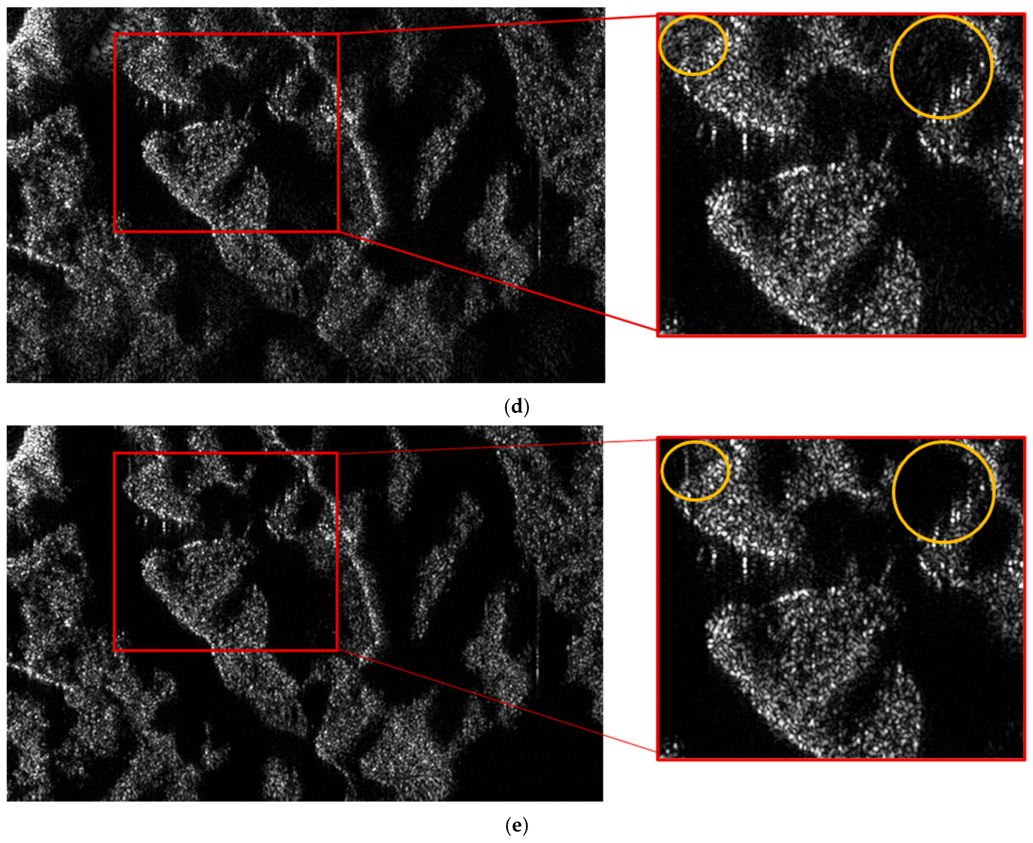 Remotesensing 18 00862 g010b