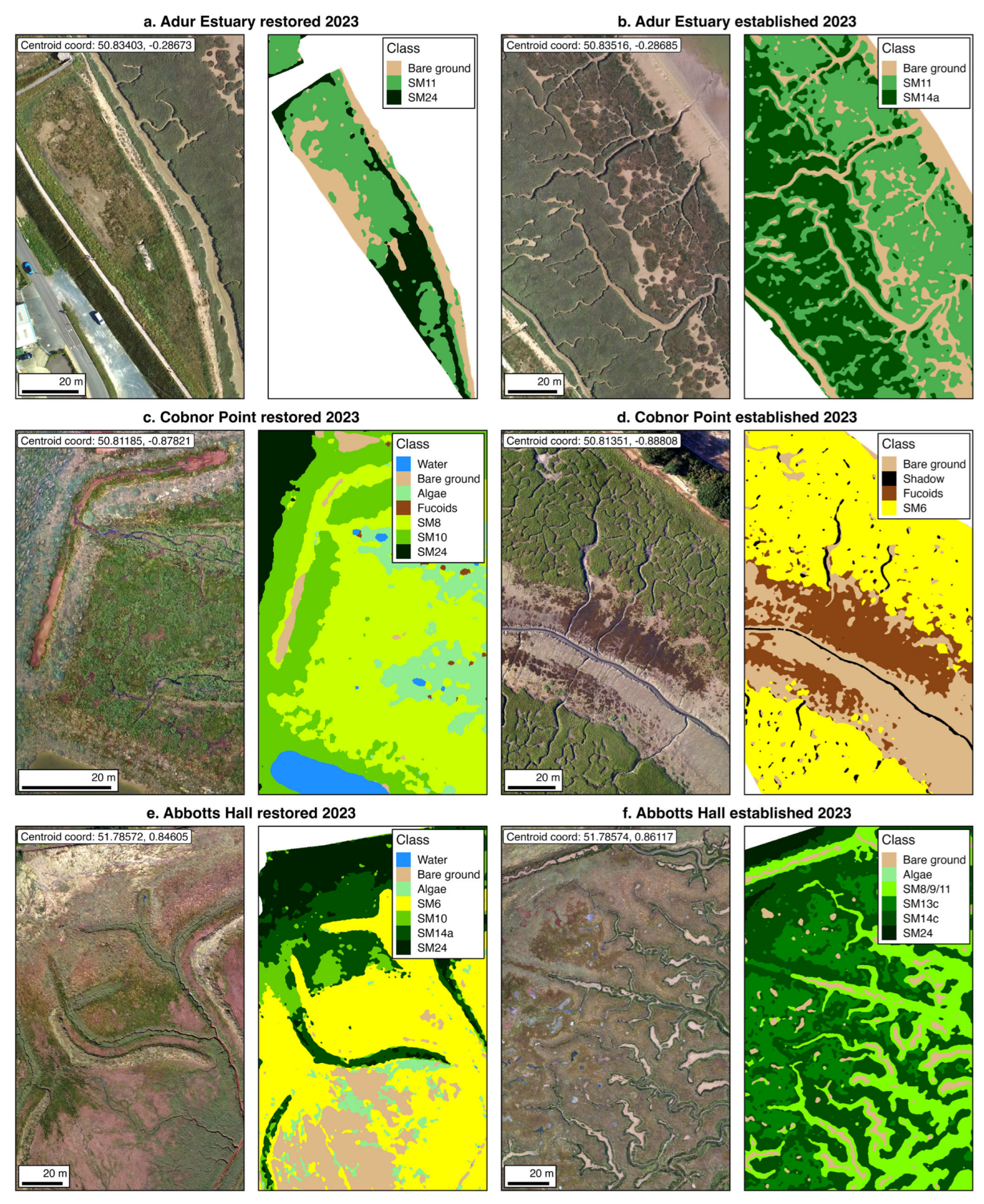 Remotesensing 18 00866 g006