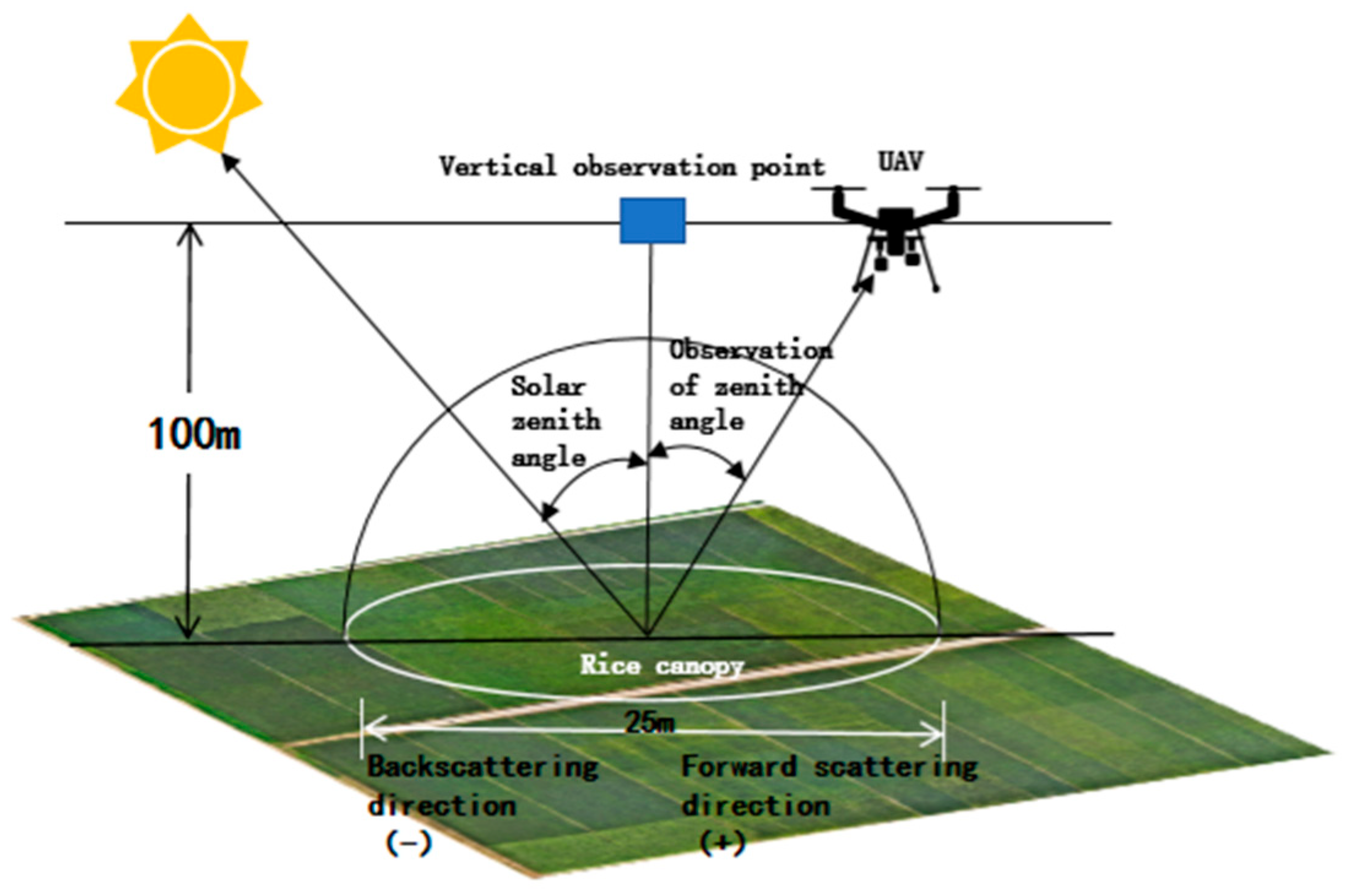 Remotesensing 18 00876 g004