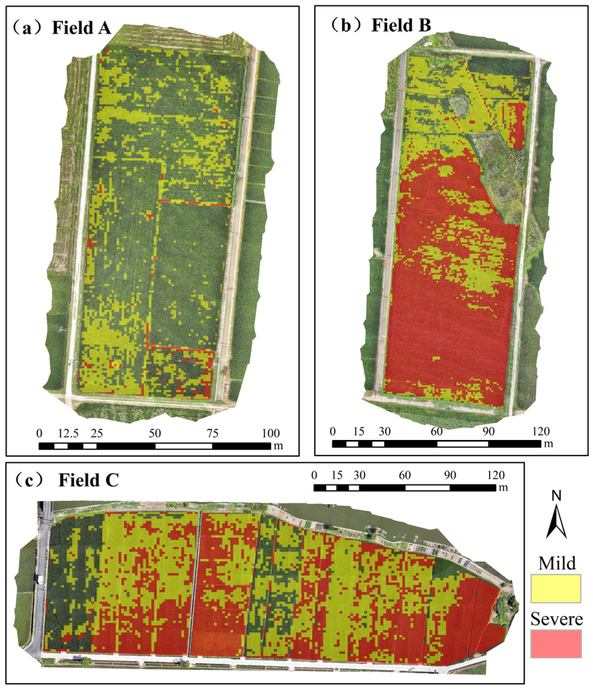 Remotesensing 18 00880 g009 Remotesensing 18 00880 g009