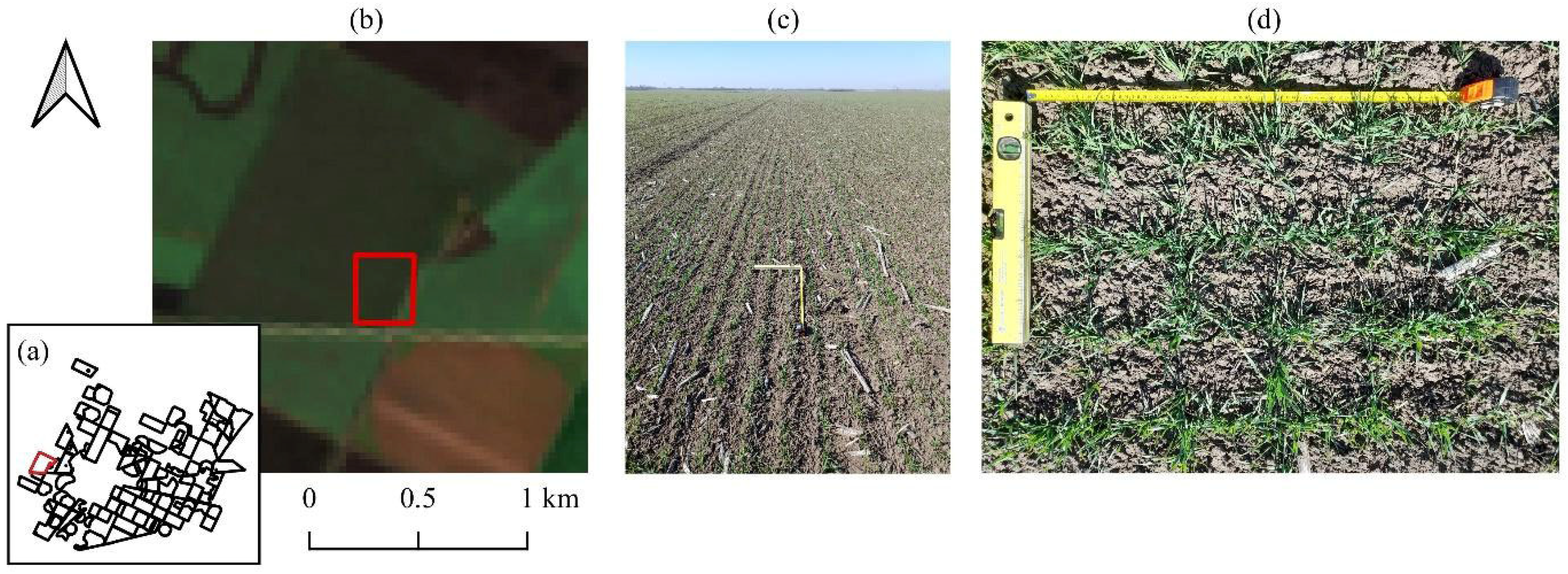 Remotesensing 18 00884 g004
