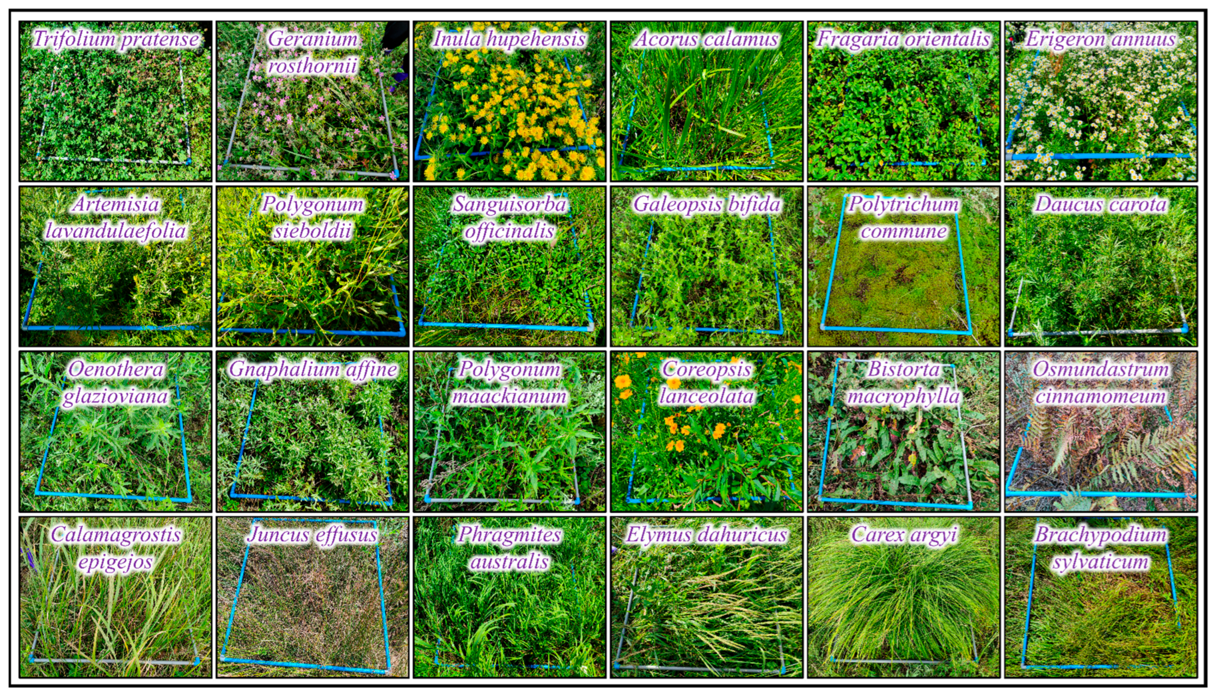 Remotesensing 18 00927 g002 Remotesensing 18 00927 g002