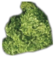 Remotesensing 18 00928 i001 Remotesensing 18 00928 i001