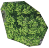 Remotesensing 18 00928 i002 Remotesensing 18 00928 i002