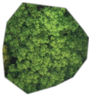 Remotesensing 18 00928 i003 Remotesensing 18 00928 i003