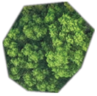 Remotesensing 18 00928 i004 Remotesensing 18 00928 i004