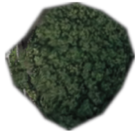 Remotesensing 18 00928 i005 Remotesensing 18 00928 i005