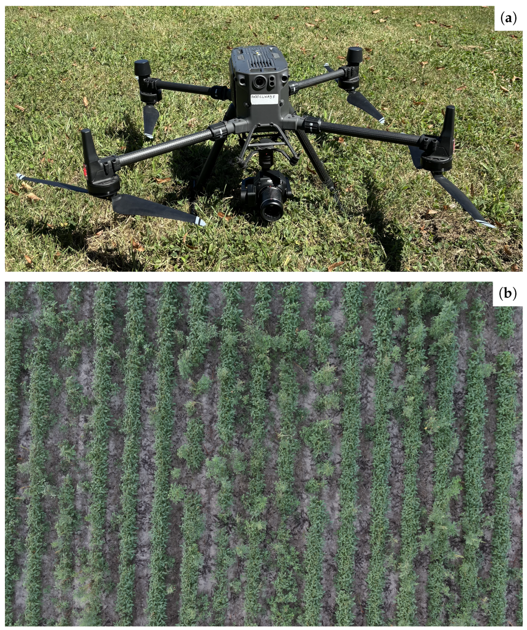 Remotesensing 18 01720 g001 Remotesensing 18 01720 g001