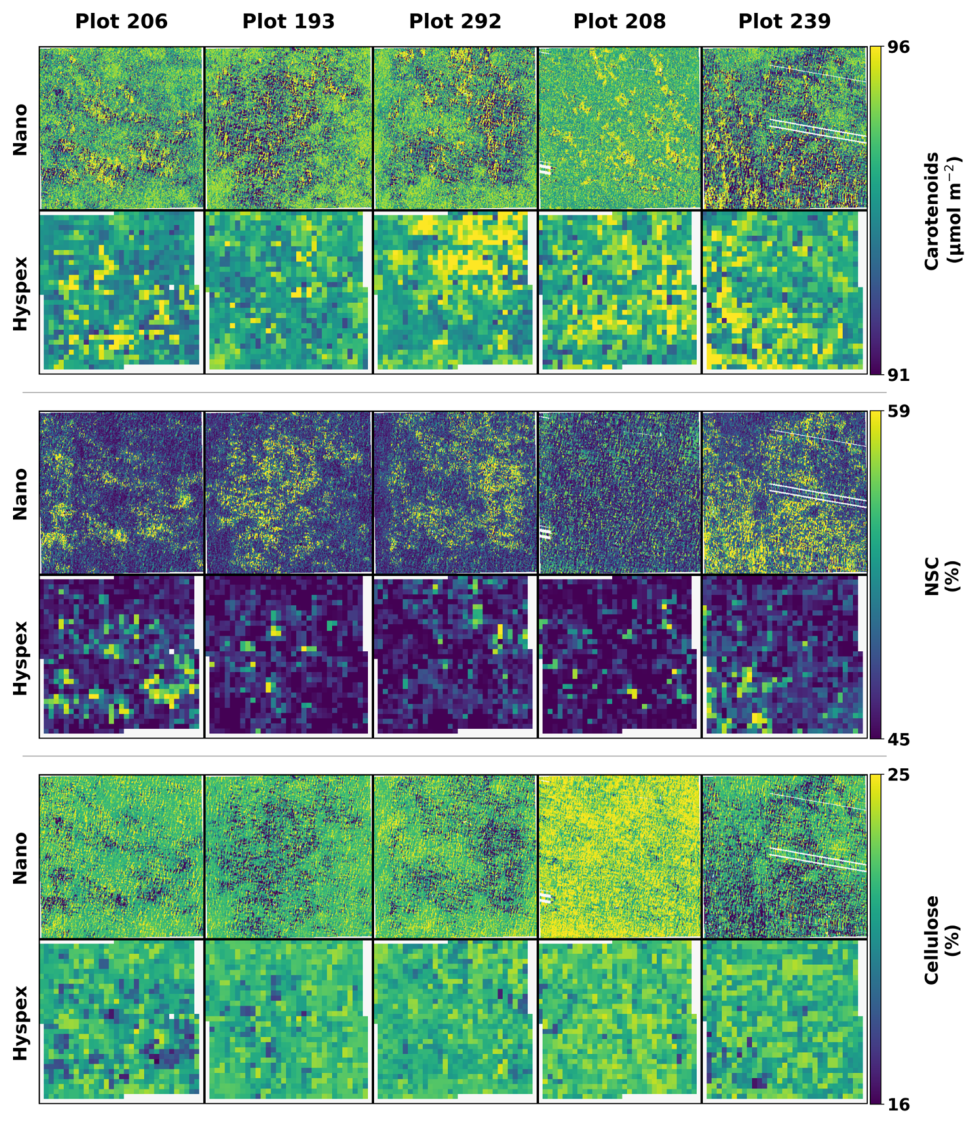 Remotesensing 18 02103 g008 Remotesensing 18 02103 g008