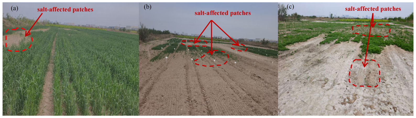 Remotesensing 18 02233 g015 Remotesensing 18 02233 g015