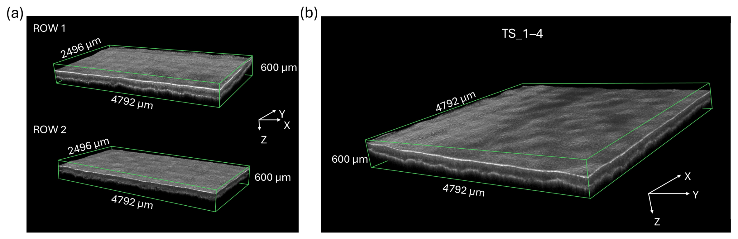 Remotesensing 18 02300 g008