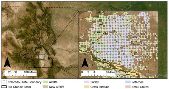 The Rio Grande Basin study area with agricultural fields from 2021, with new alfalfa having been planted during the current season.