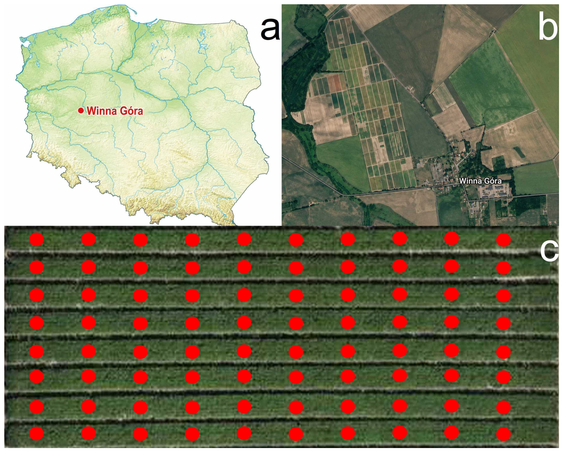 Remotesensing 18 02800 g001