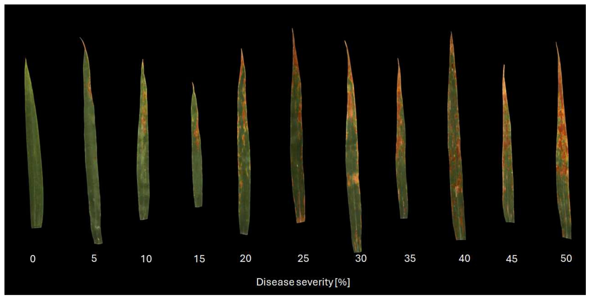 Remotesensing 18 02800 g003