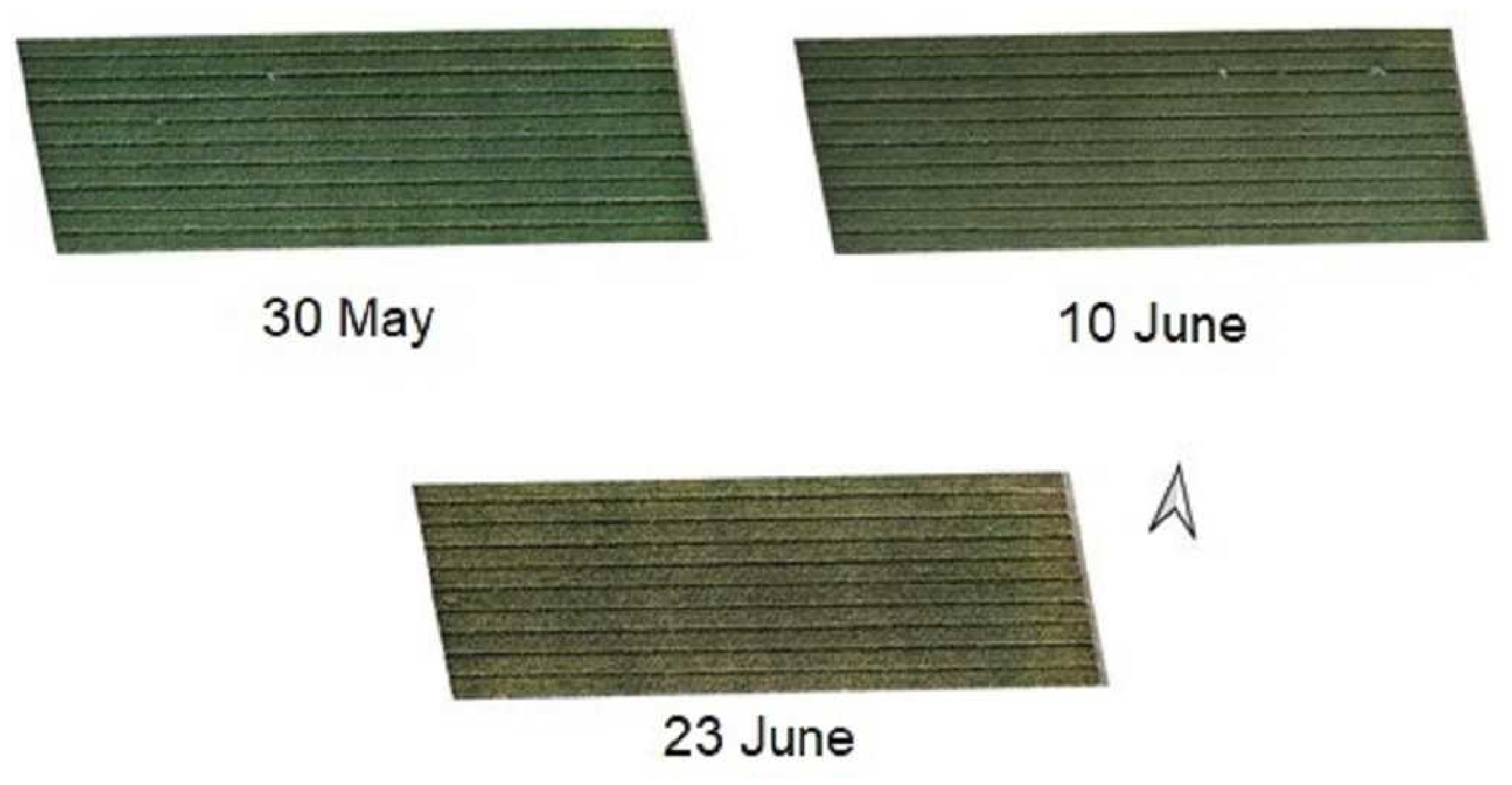 Remotesensing 18 02800 g005