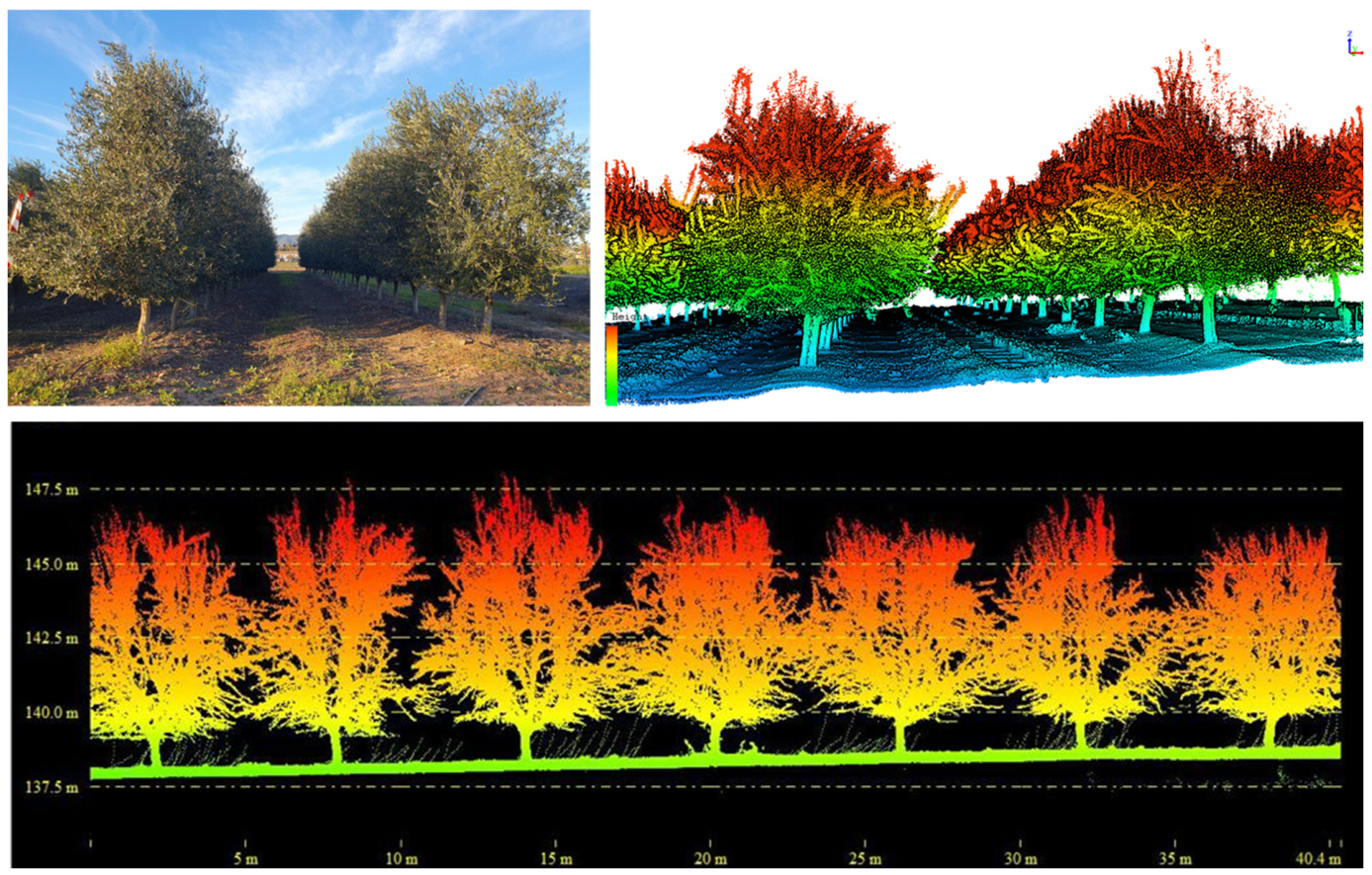 Remotesensing 18 02802 g009