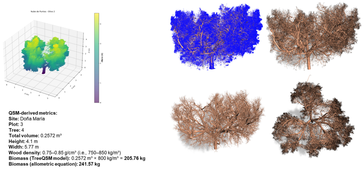 Remotesensing 18 02802 g012